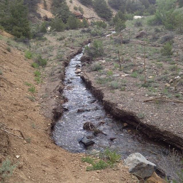 A clear stream flowing through a dry, rocky terrain, bordered by sparse vegetation and trees in the background. The banks of the stream are uneven, showing signs of erosion, while small rocks and branches are scattered along the water’s edge. Cottonwood mountain bike trail.