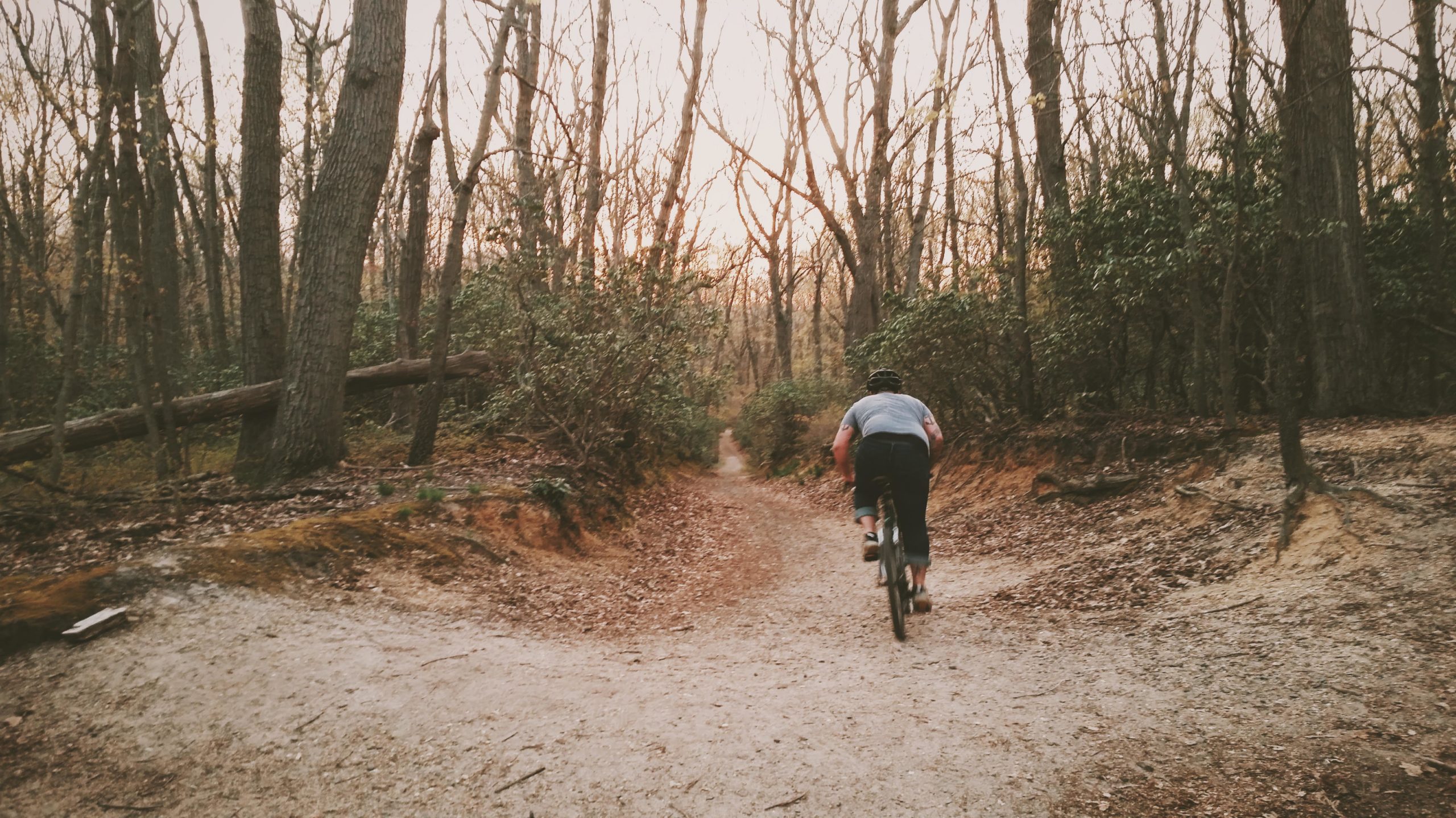 A person riding a mountain bike along a sandy trail in a wooded area, surrounded by tall trees with sparse leaves, as the sun sets in the background. Hartshorne Woods Park mountain bike trail.