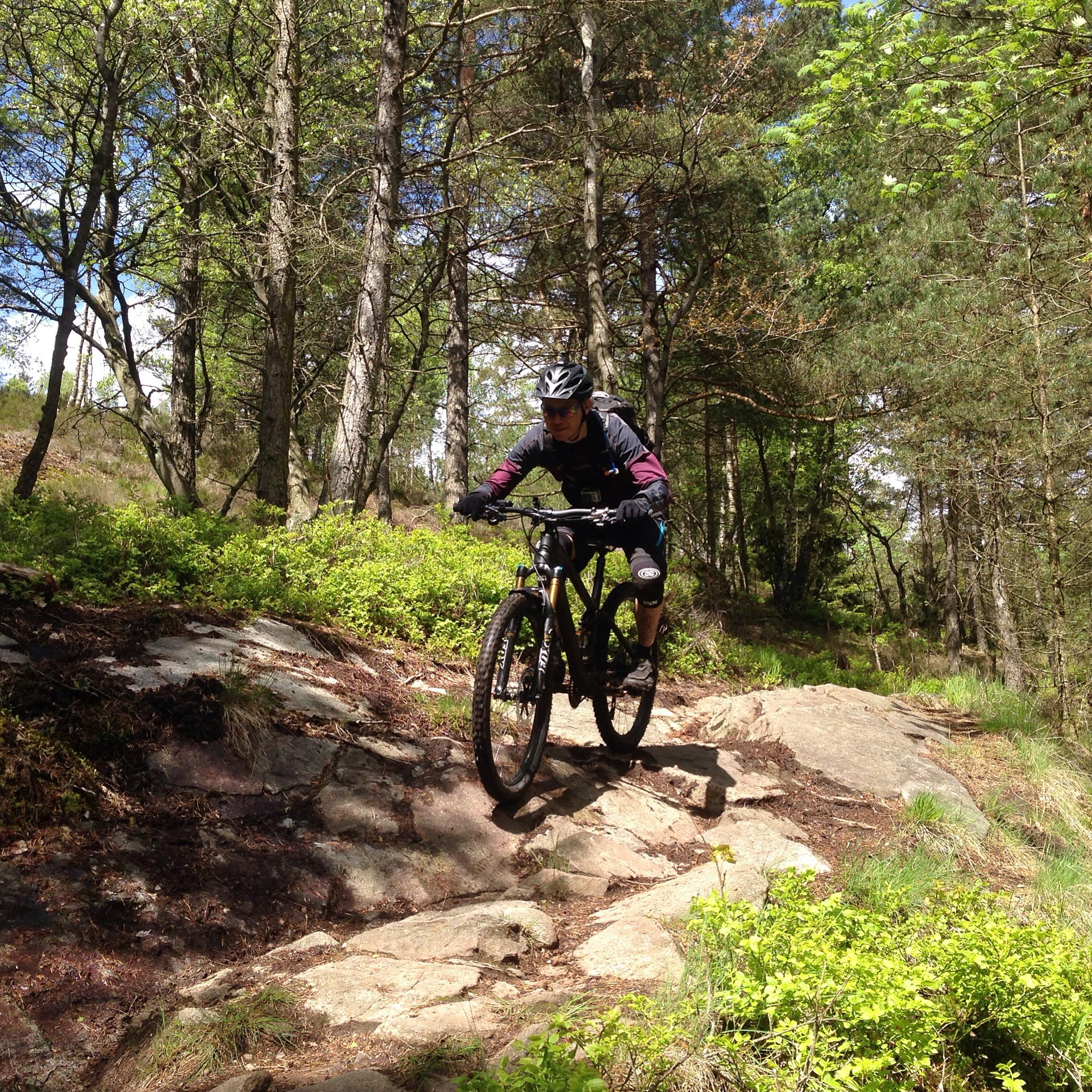 A mountain biker navigating a rocky trail in a lush, green forest, wearing a helmet and riding gear. The scene captures the bike's wheels on rugged terrain, surrounded by trees and underbrush, with blue skies peeking through the foliage. Skatas Trail System mountain bike trail.