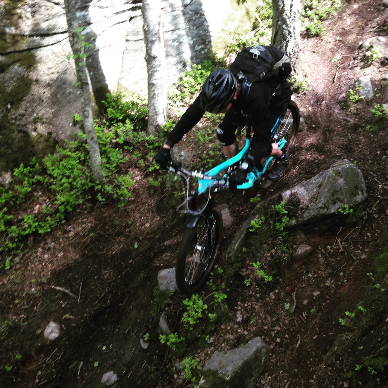 A mountain biker navigating a rugged trail surrounded by trees and rocks, leaning forward as they maneuver over a large stone. The biker is wearing a black helmet and attire, riding a blue mountain bike on a dirt path with lush greenery. Skatas Trail System mountain bike trail.
