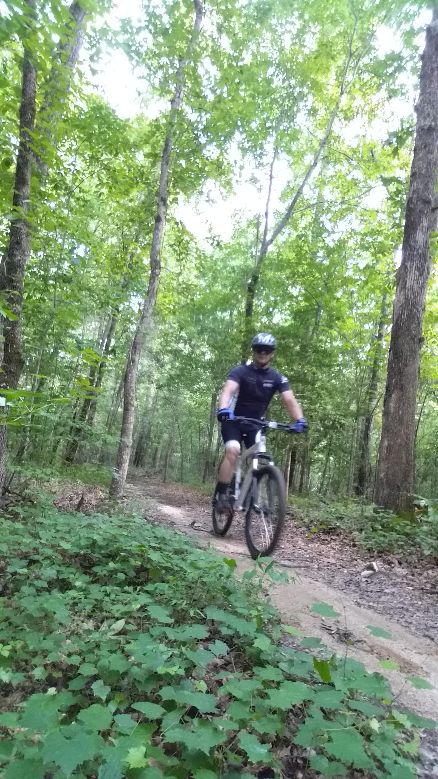 A person riding a mountain bike on a dirt trail surrounded by lush green trees and foliage. The cyclist is wearing a helmet and athletic gear, with a focused expression as they navigate the path through a dense forest. Harbins Park mountain bike trail.
