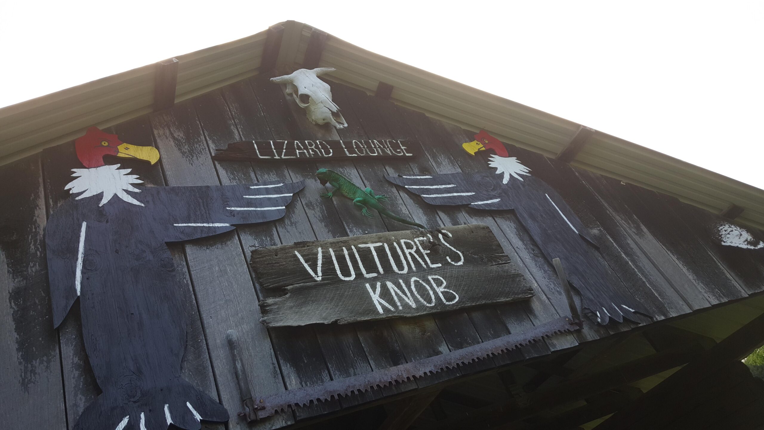 A rustic wooden sign on a barn depicting a skull and colorful wooden bird cutouts, labeled with the names "Lizard Lounge" and "Vulture's Knob." The structure shows a weathered finish, adding to its charm. Vultures Knob mountain bike trail.