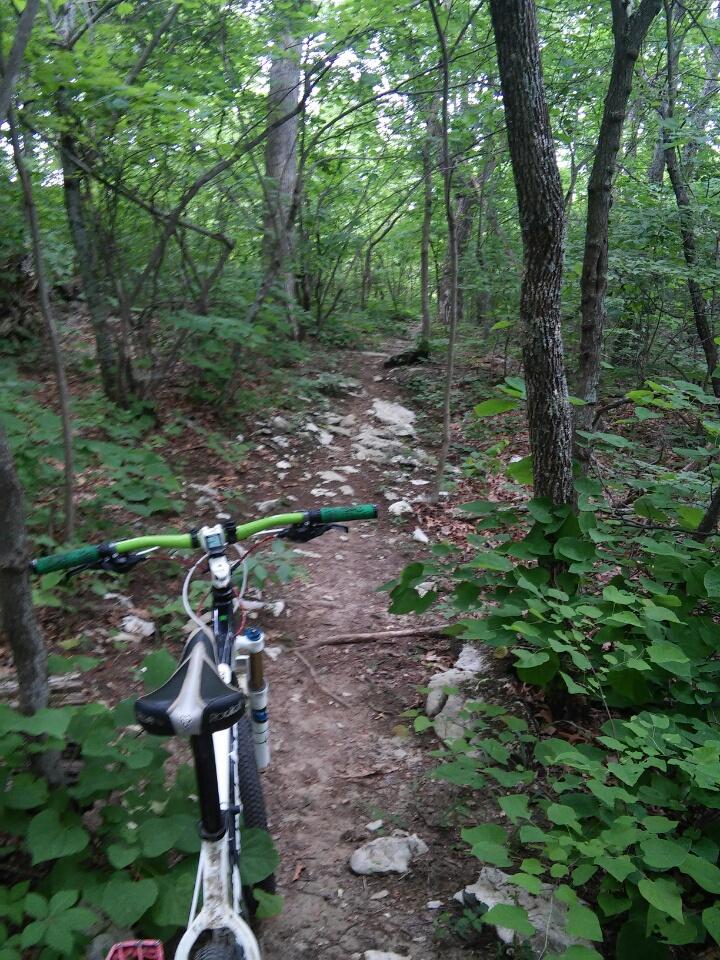 A mountain bike resting on a dirt path surrounded by dense green foliage and trees, with rocky terrain visible alongside the trail. The perspective shows the handlebars and seat of the bike, indicating a scene of outdoor adventure in a forest setting. Cave-run Lake mountain bike trail.