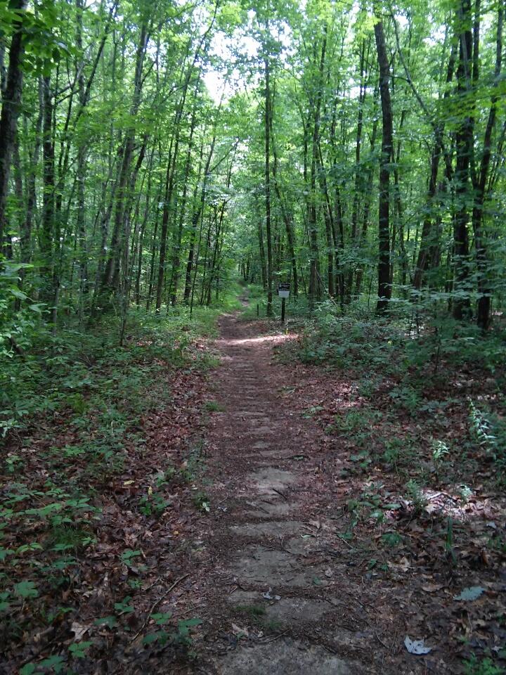 A dirt path winding through a dense forest, surrounded by tall green trees and underbrush. Sunlight filters through the leaves, illuminating the trail. A signpost is visible along the path, guiding hikers through the serene woodland setting. Cane Creek (sheltowee Trace Trail) mountain bike trail.
