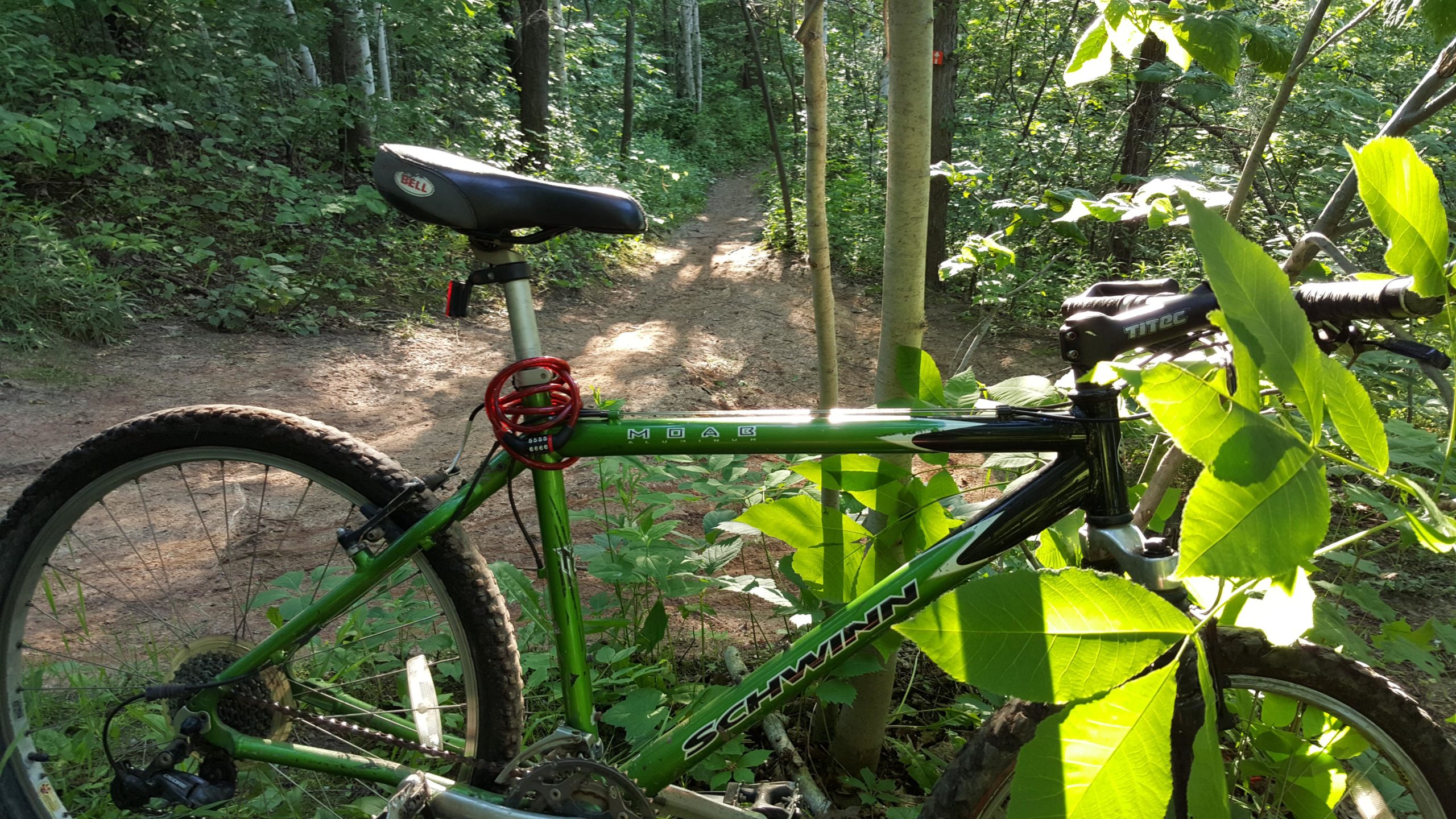 A green Schwinn mountain bike is leaning against trees on a dirt trail surrounded by lush greenery. The bike is partially obscured by large leaves, and the trail is visible in the background, leading into a dense forest. Soft sunlight filters through the trees, creating a serene outdoor atmosphere. Baird Creek mountain bike trail.