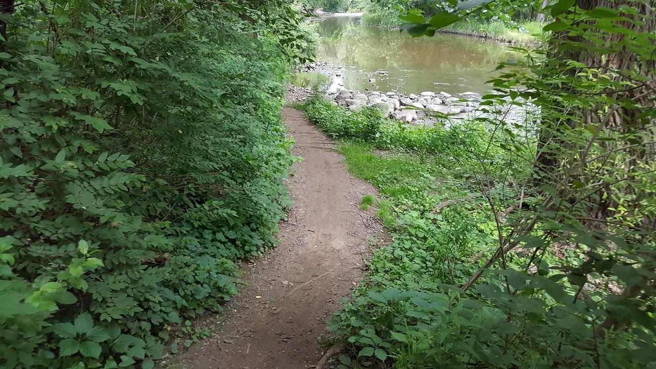 A narrow dirt path lined with lush greenery leads to a calm river, flanked by rocks along the water's edge. The scene conveys a peaceful natural environment, inviting exploration. Hoyt Park mountain bike trail.