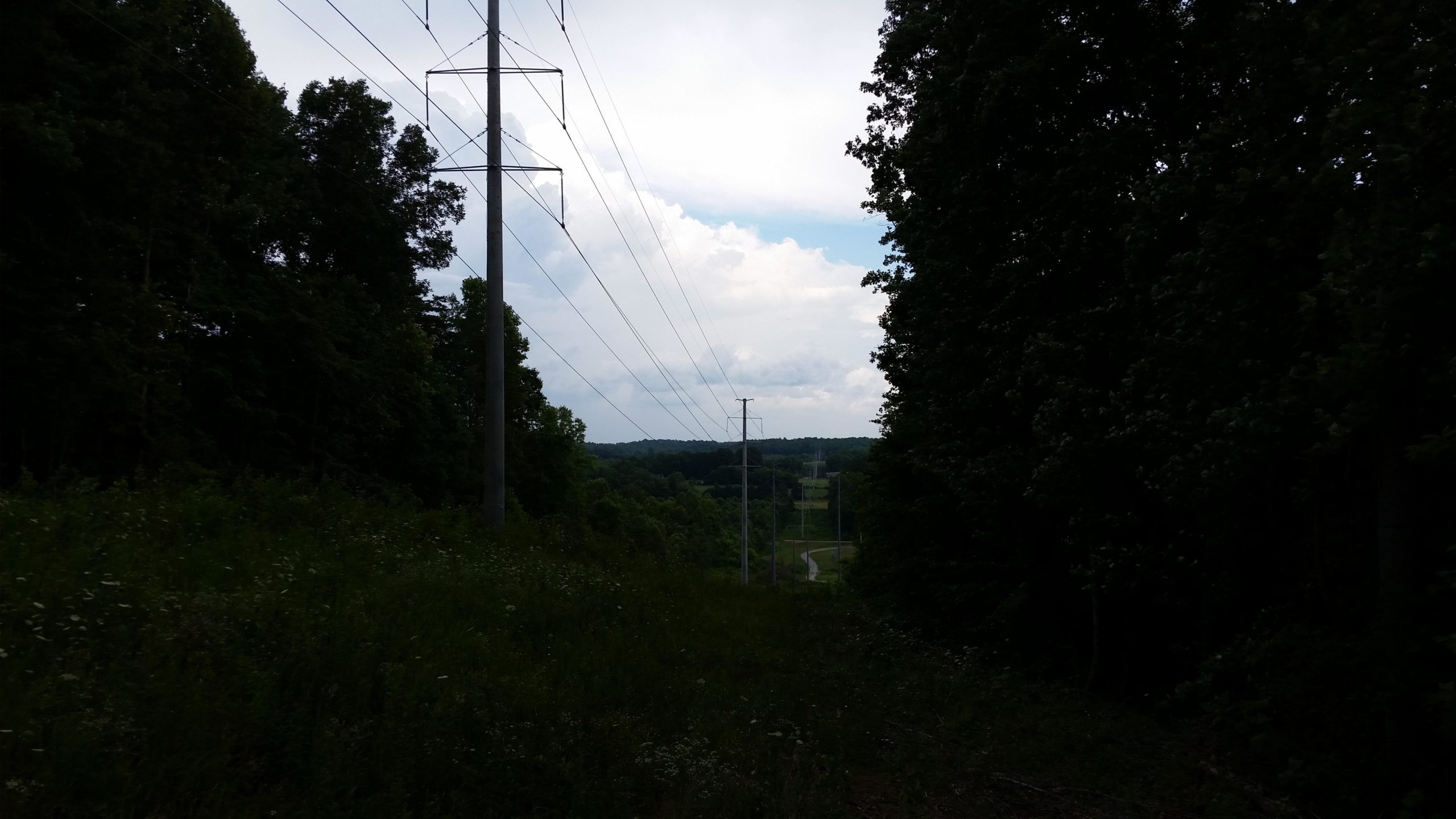 A scenic view of a grassy area bordered by tall trees, with power lines extending into the distance under a cloudy sky. A winding path is visible leading through the landscape. Woodland Trail mountain bike trail.