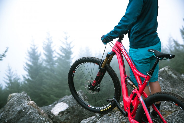 A person standing on rocky terrain, holding a bright pink mountain bike. The background features a misty forest with evergreen trees, creating a scenic, foggy atmosphere. The individual is dressed in a teal jacket and shorts, ready for an outdoor biking adventure.