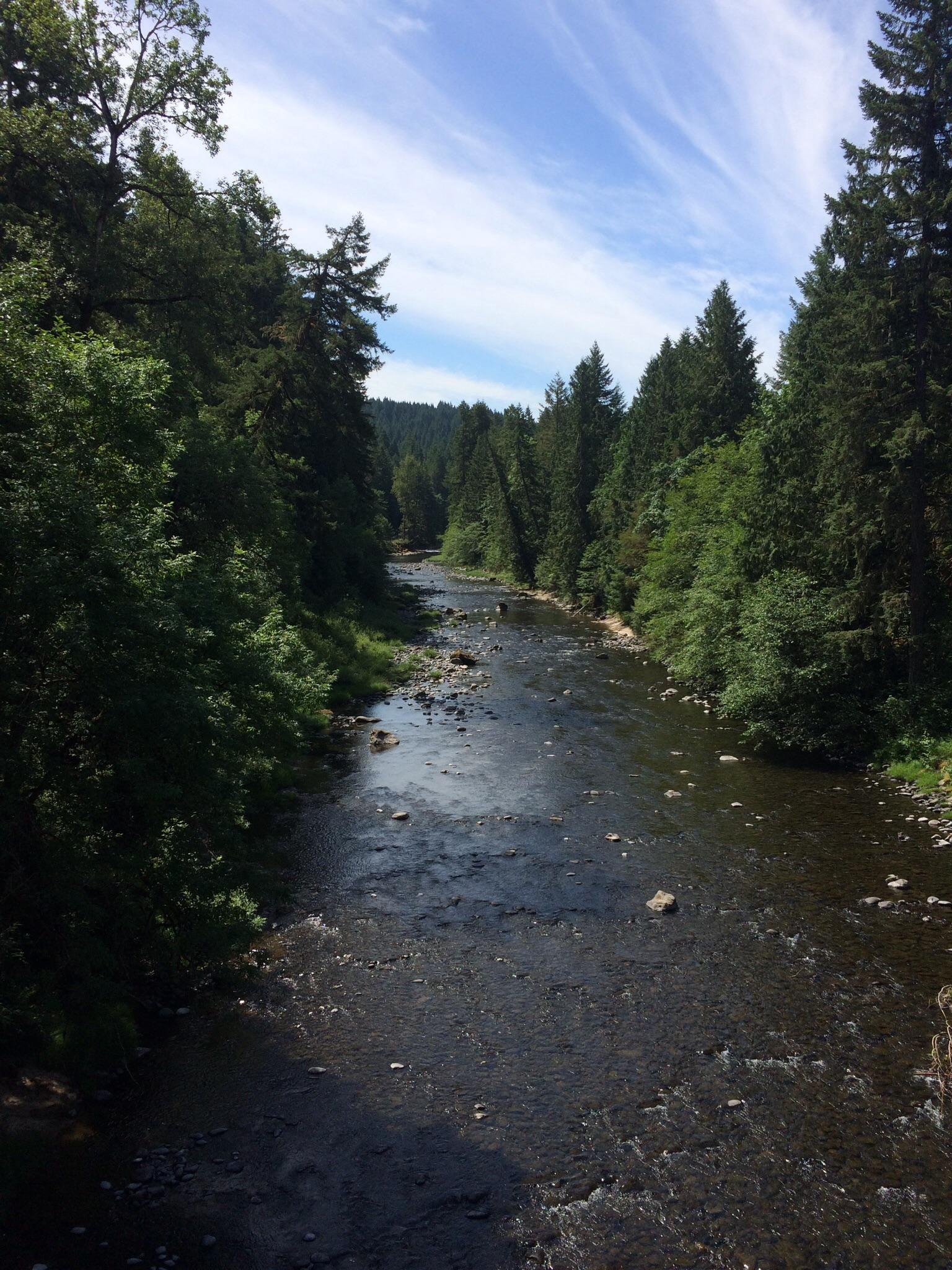 A serene river flows through a lush, green forest under a blue sky with wispy clouds. The water is clear, revealing rocks and pebbles beneath the surface, while tall trees line the banks, creating a tranquil natural landscape. Molalla River Recreation Corridor mountain bike trail.