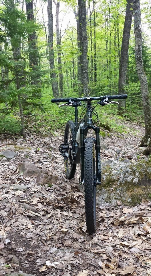 A mountain bike positioned on a dirt trail surrounded by lush green trees and foliage in a forest setting. The scene captures a sense of adventure and the natural beauty of the outdoors. CAMBA: Namakagon Cluster mountain bike trail.