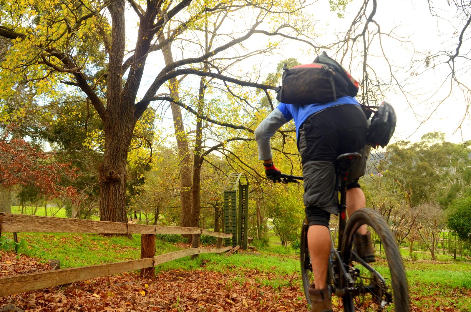 A cyclist riding on a dirt path surrounded by trees with colorful autumn foliage, with a wooden fence in the foreground and a green structure visible in the background. Candle Bark Park mountain bike trail.