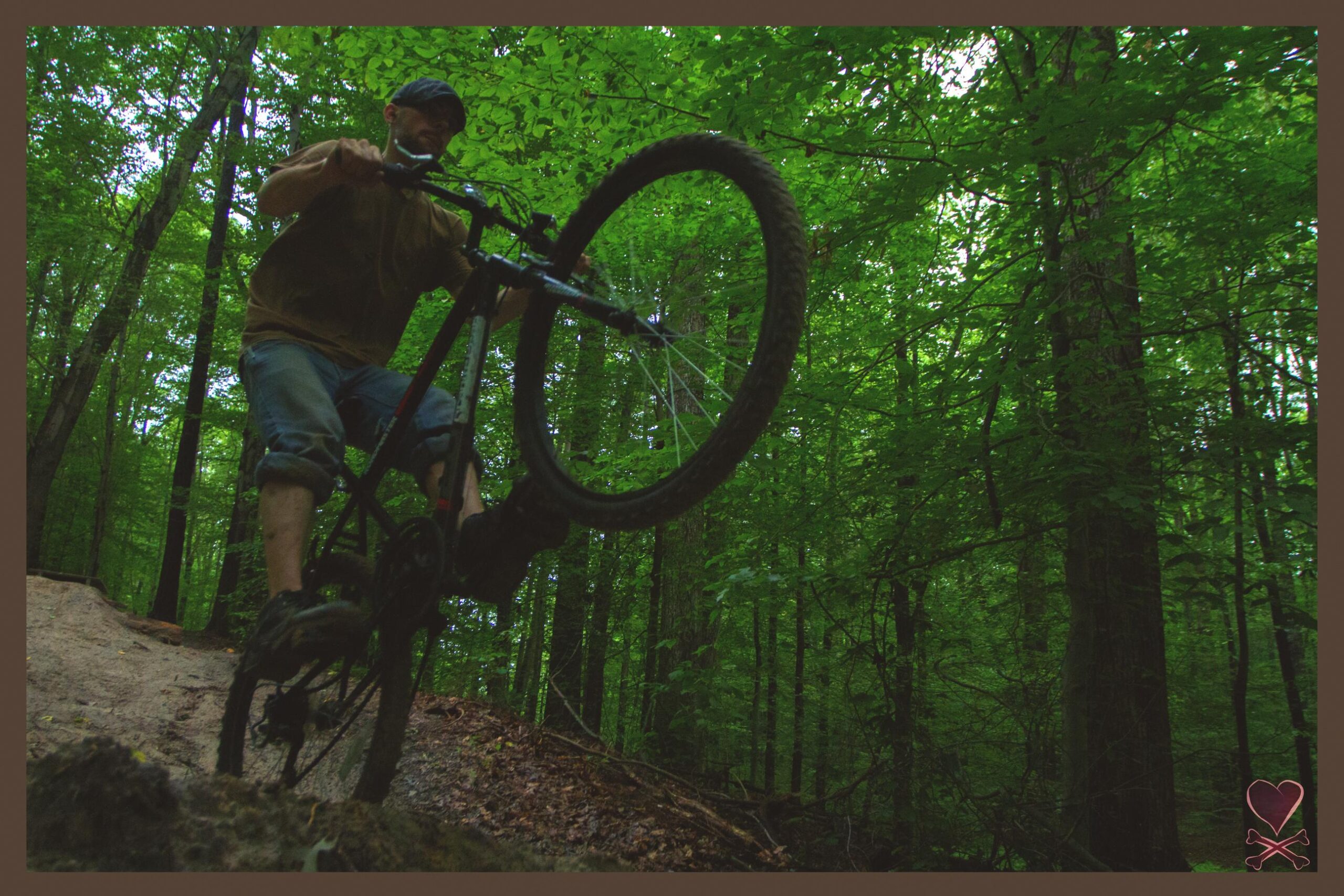 A cyclist performing a wheelie on a mountain bike on a dirt trail surrounded by lush green trees in a forest setting. Lake Maury mountain bike trail.