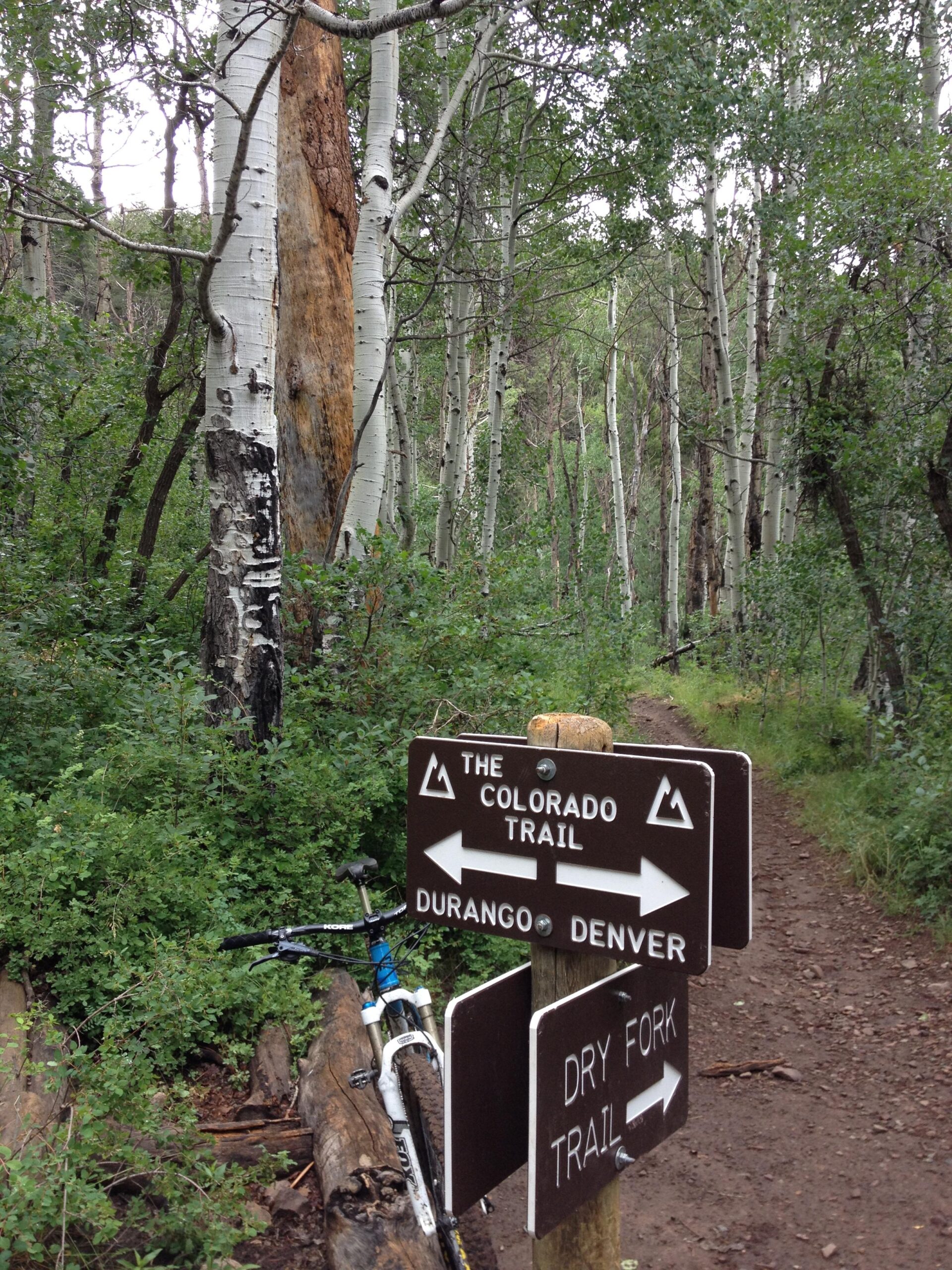A wooden trail sign in a forest setting, featuring directions for "The Colorado Trail" towards Durango and Denver, and the "Dry Fork Trail." The sign is surrounded by lush greenery, aspen trees, and a mountain bike leaning against a log. Colorado Trail mountain bike trail.