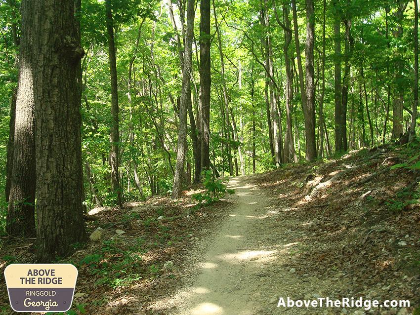 A scenic dirt path winding through a lush green forest, surrounded by tall trees with vibrant foliage. Sunlight filters through the leaves, illuminating the trail and creating a peaceful, natural setting. A logo for "Above The Ridge" in Ringgold, Georgia, is visible in the corner. Enterprise South mountain bike trail.