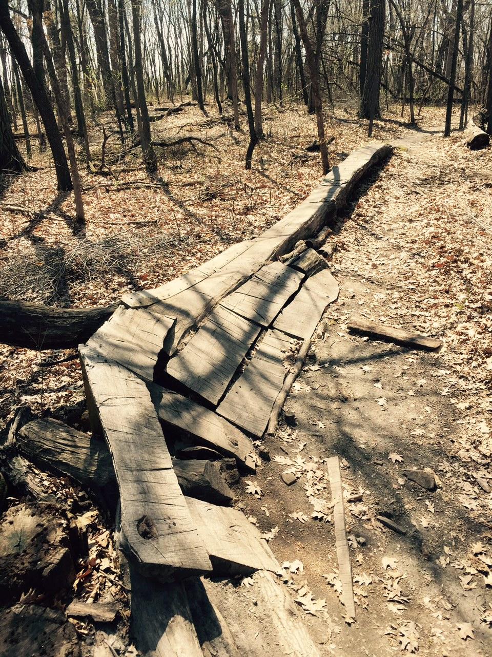 A wooden walkway made of large planks, partially broken and resting on a forest floor covered with dried leaves. The surrounding area features bare trees and scattered branches, indicating a natural woodland environment. Elm Creek Park mountain bike trail.