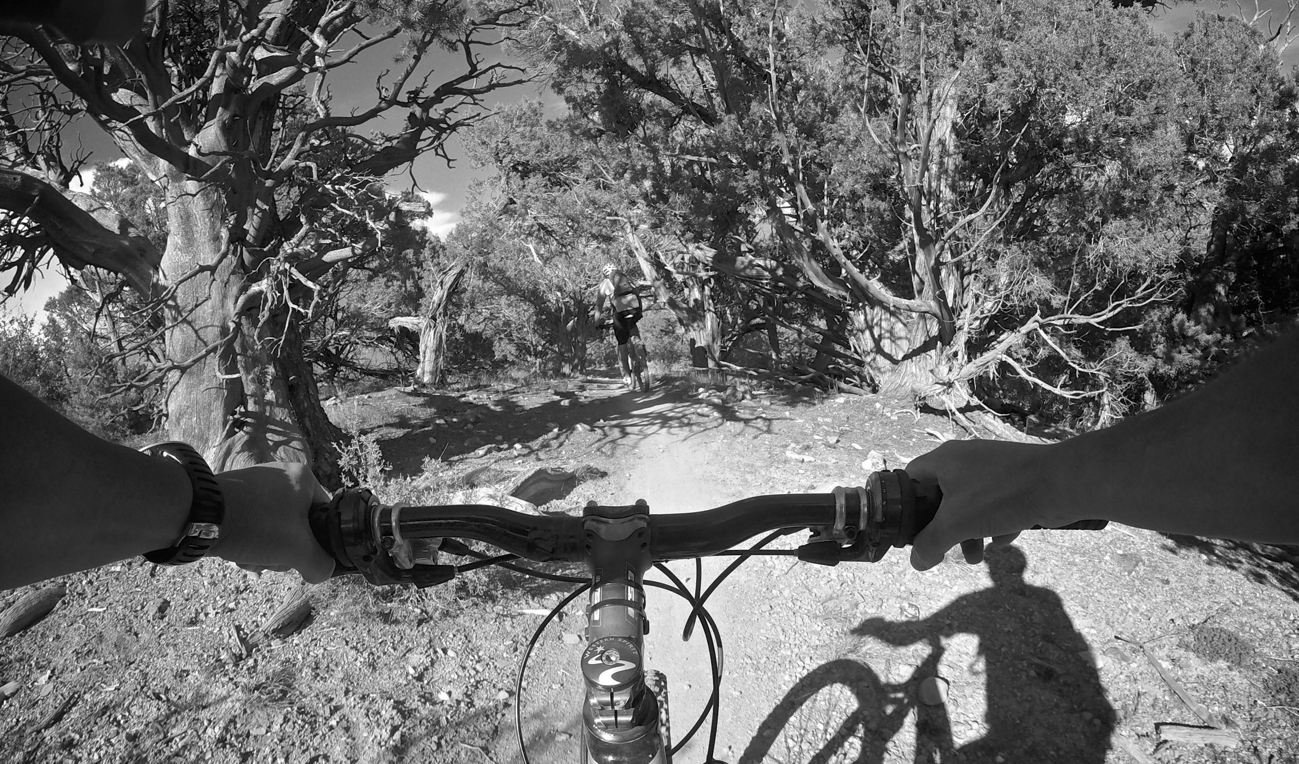 A black-and-white image showing the handlebars of a mountain bike, with a rider in the background navigating a trail surrounded by trees and rocky terrain. The perspective captures both the cyclist’s arms and the shadows cast on the ground. Abrams / Worlds Greatest mountain bike trail.