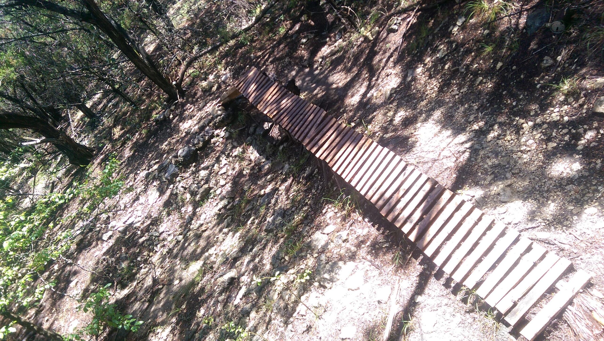 A wooden boardwalk stretches across a rocky terrain in a forested area, surrounded by trees and greenery. The sunlight creates shadows on the ground, highlighting the natural landscape and the rustic charm of the walkway. Enchilada Buffet mountain bike trail.