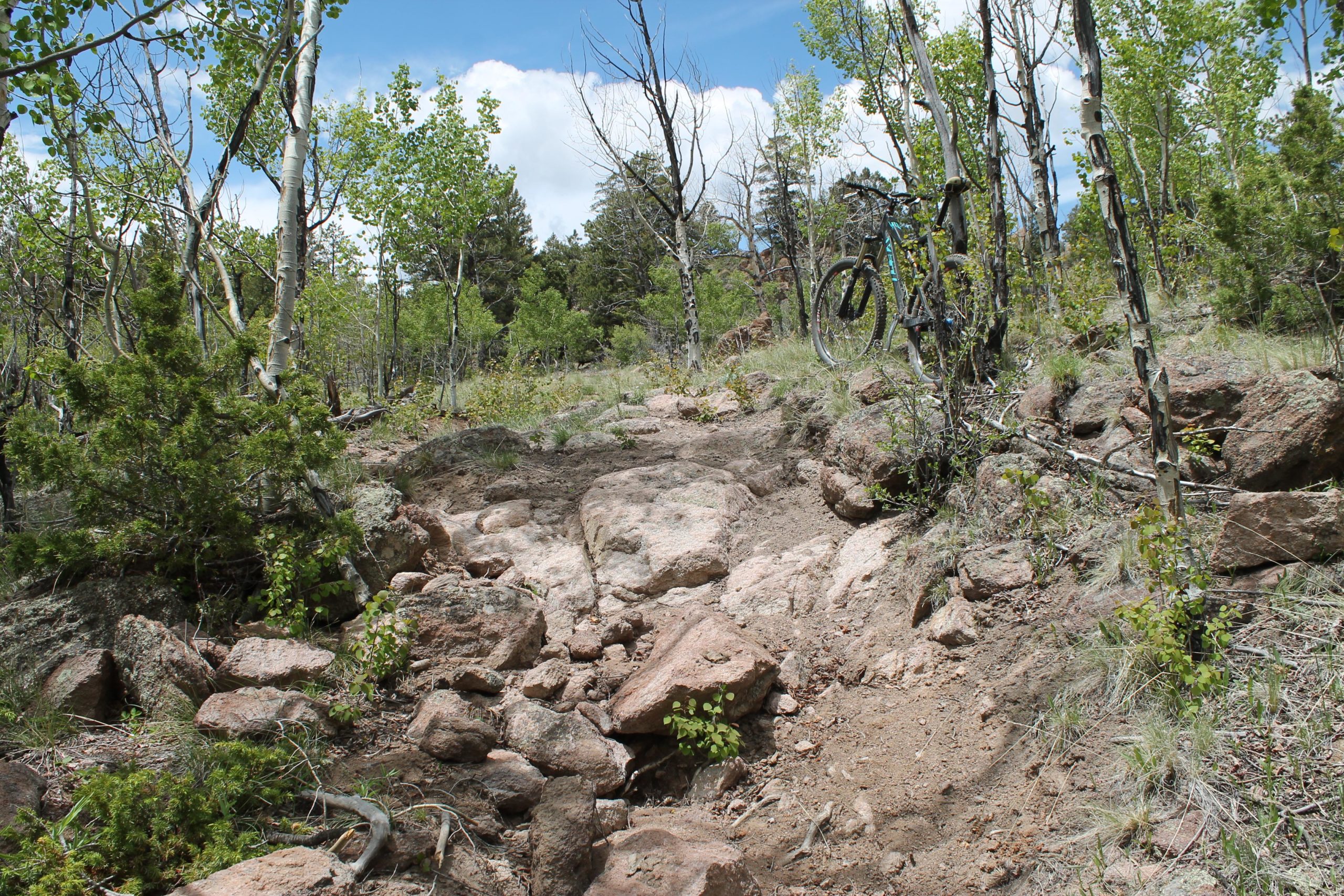 A rocky mountain biking trail surrounded by trees, with a bicycle leaning against a tree on the right. The path features exposed rocks and dirt, suggesting a challenging terrain. Bright green leaves and a blue sky with fluffy clouds are visible in the background. Bassam Park Lariat / Trail #1435 mountain bike trail.