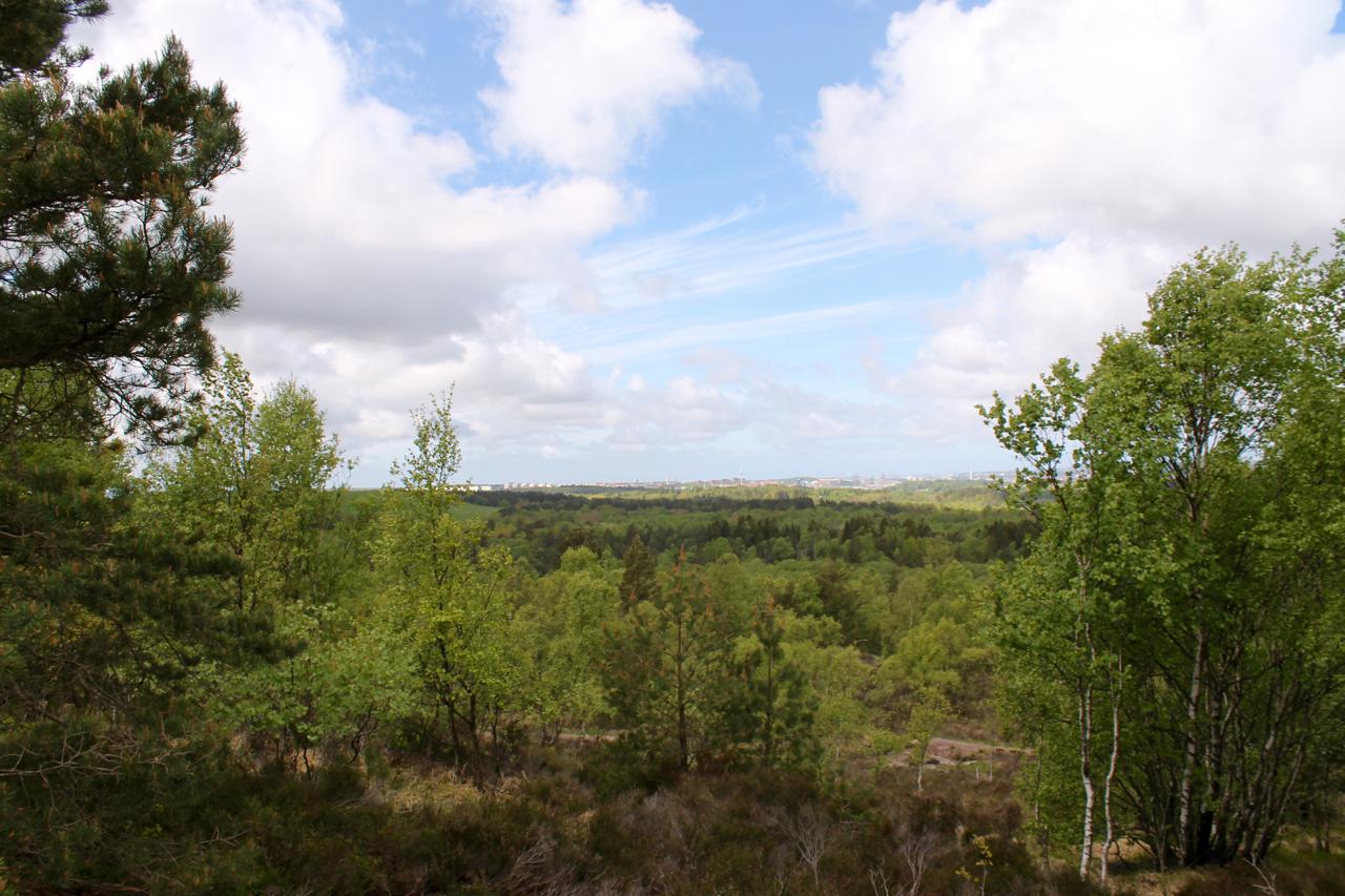 A scenic view of a lush green landscape, featuring a variety of trees and vegetation under a partly cloudy sky, with distant buildings visible on the horizon. Skatas Trail System mountain bike trail.