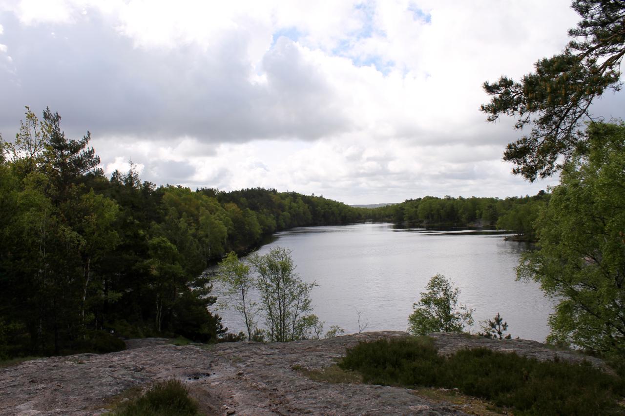 A serene view of a river surrounded by lush green trees and cloudy skies, captured from a rocky vantage point. The water reflects the overcast sky, creating a peaceful natural scene. Skatas Trail System mountain bike trail.