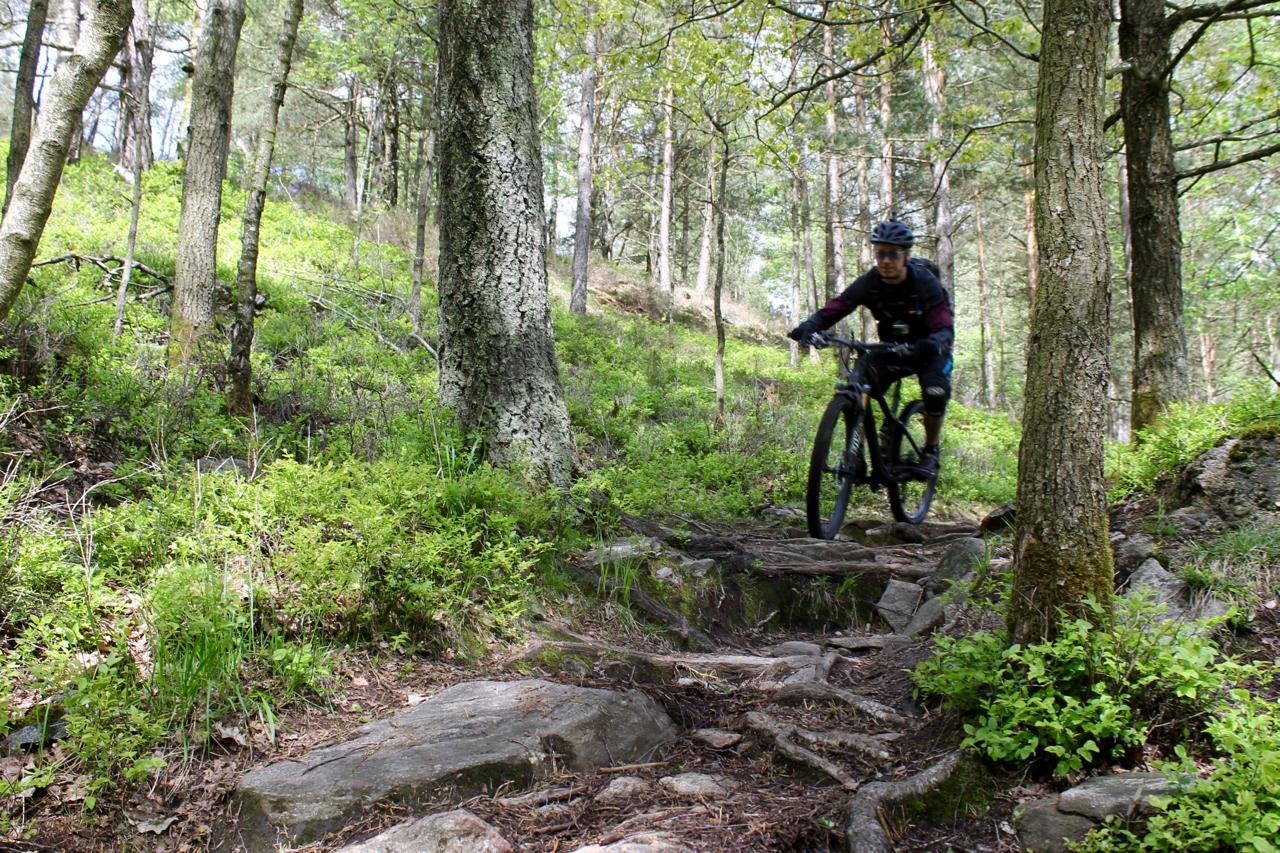 A mountain biker navigating a rocky trail through a forest filled with green foliage and trees. The cyclist is wearing a helmet and cycling gear, showcasing focused movement over the uneven terrain. Skatas Trail System mountain bike trail.
