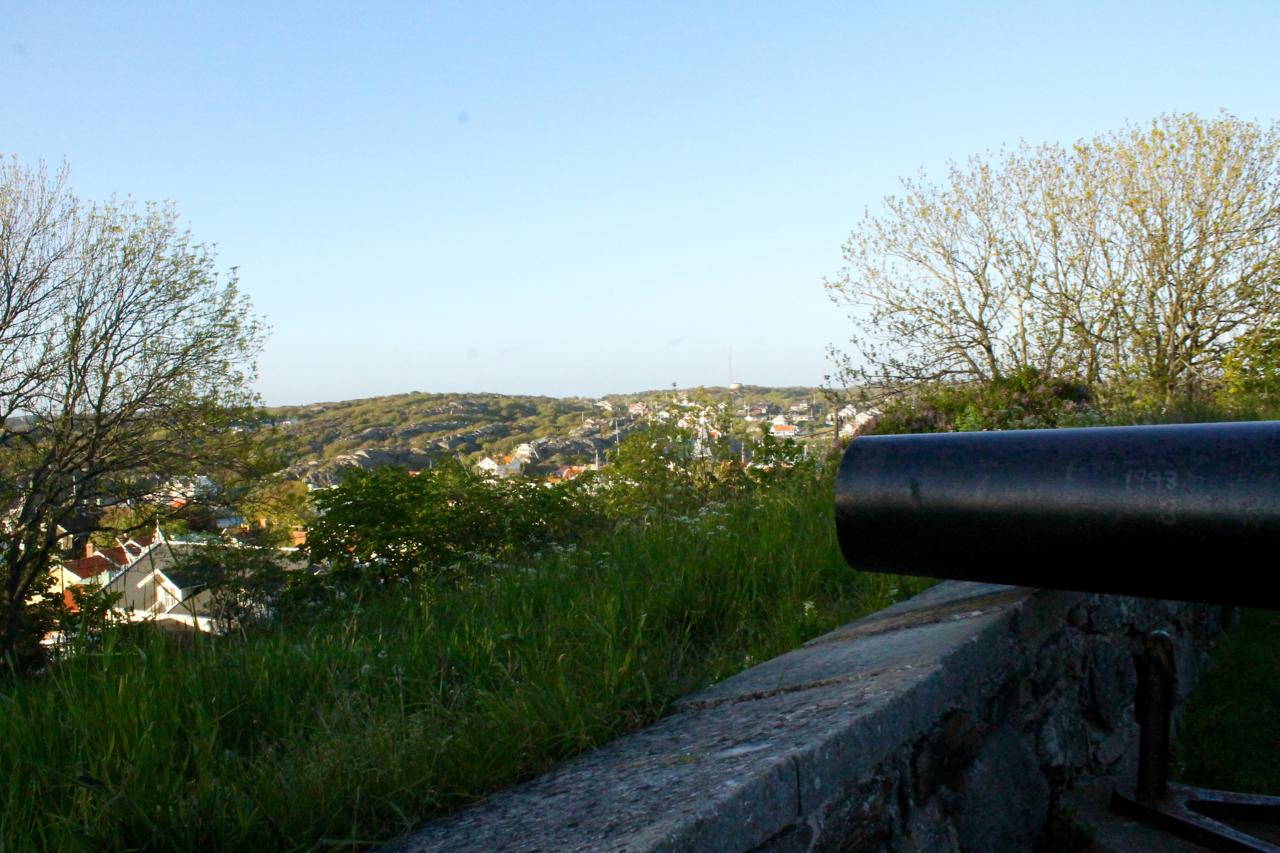 A view of a landscape featuring a historic cannon positioned on a stone wall, overlooking a green hill dotted with houses under a clear blue sky. Trees frame the scene, with some foliage in the foreground. Marstrand Island Trail System mountain bike trail.