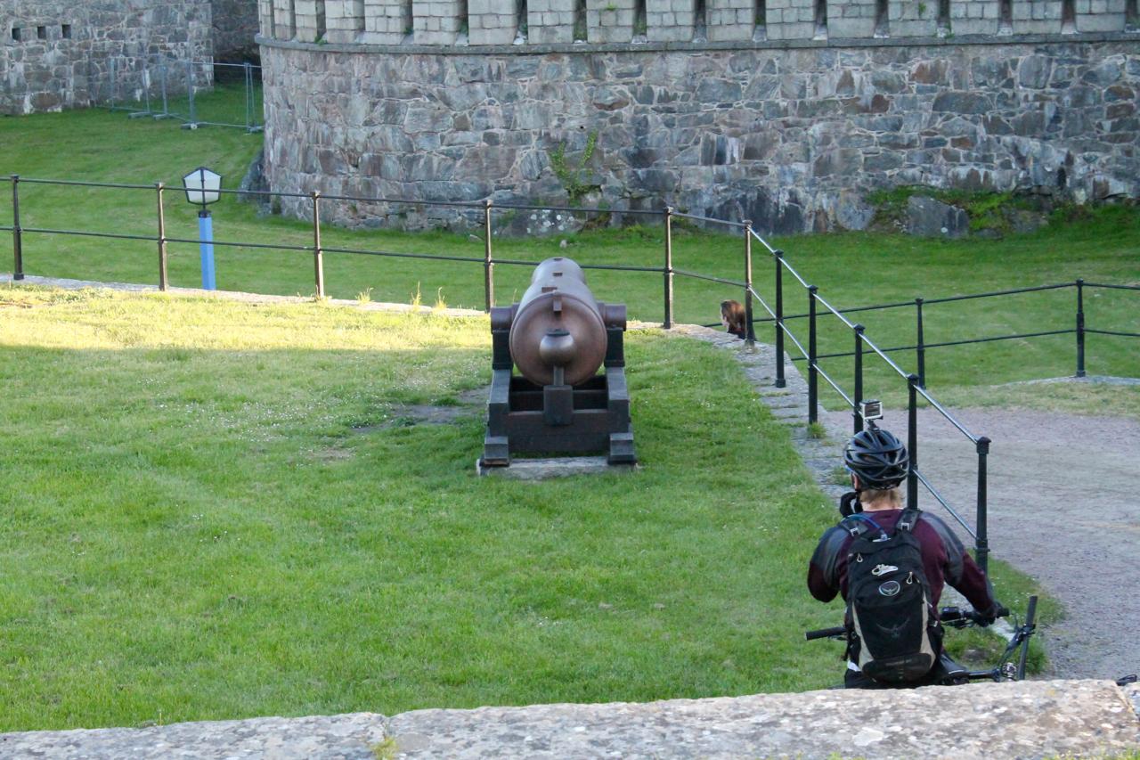 A cyclist wearing a helmet and a backpack is sitting near a historic cannon, positioned on a grassy area beside a stone wall with a partial view of a path. A small animal is visible in the background, and the scene is set in a park-like environment. Marstrand Island Trail System mountain bike trail.