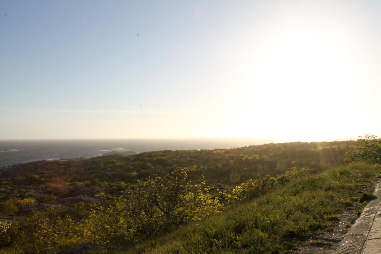 A scenic view of a coastal landscape during sunset, showcasing lush greenery in the foreground and the shimmering ocean in the background, with the sun casting a warm glow over the horizon. Marstrand Island Trail System mountain bike trail.