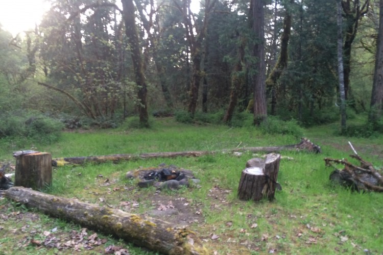 A peaceful forest campsite featuring a circular fire pit surrounded by logs for seating. The area is lush with green grass and trees, creating a serene natural setting. Soft light filters through the trees, suggesting early morning or late afternoon.