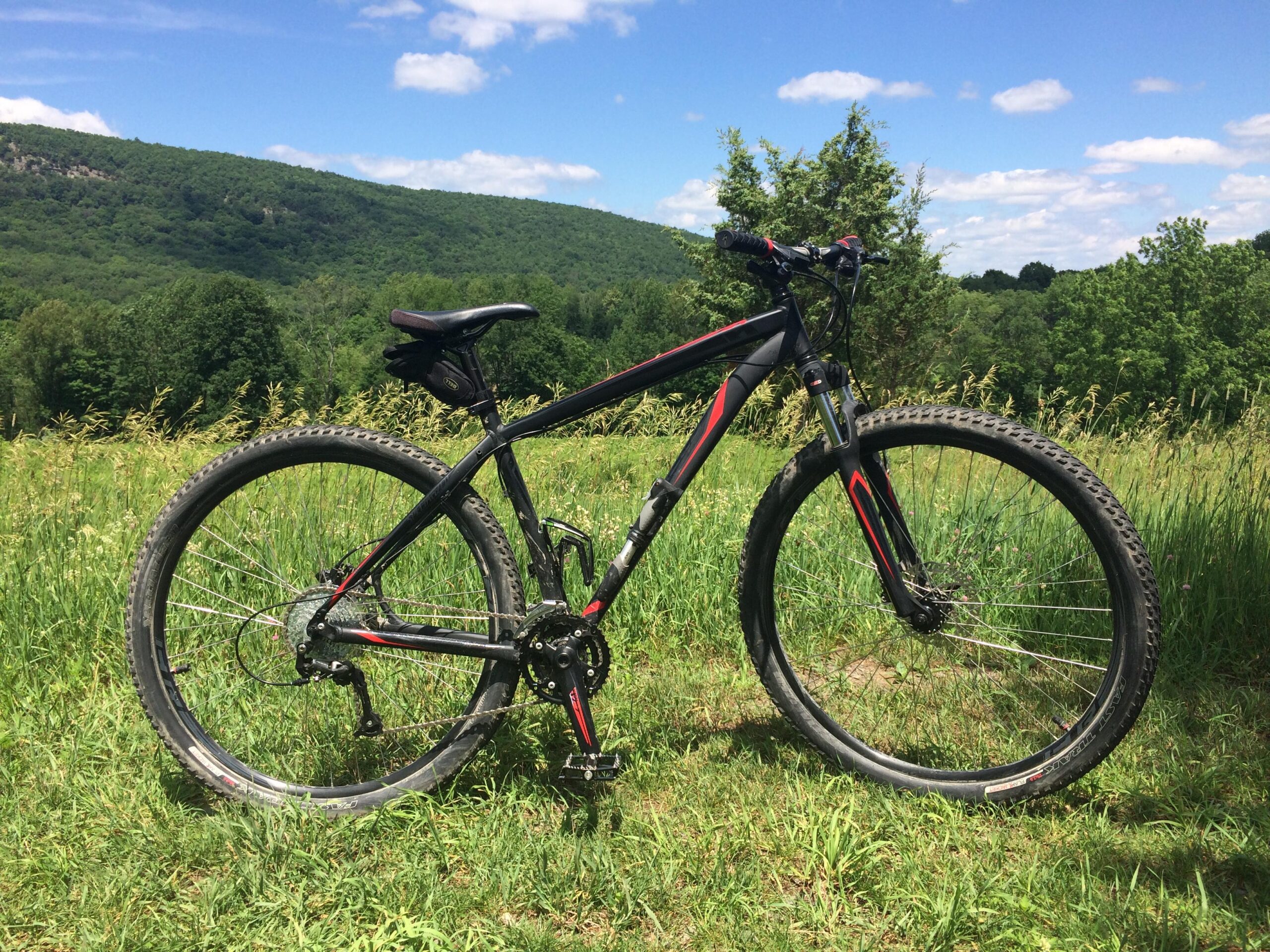 Specialized Hardrock Sport Disc 29er: A black and red mountain bike positioned on a grassy field, with rolling green hills and a blue sky dotted with clouds in the background.