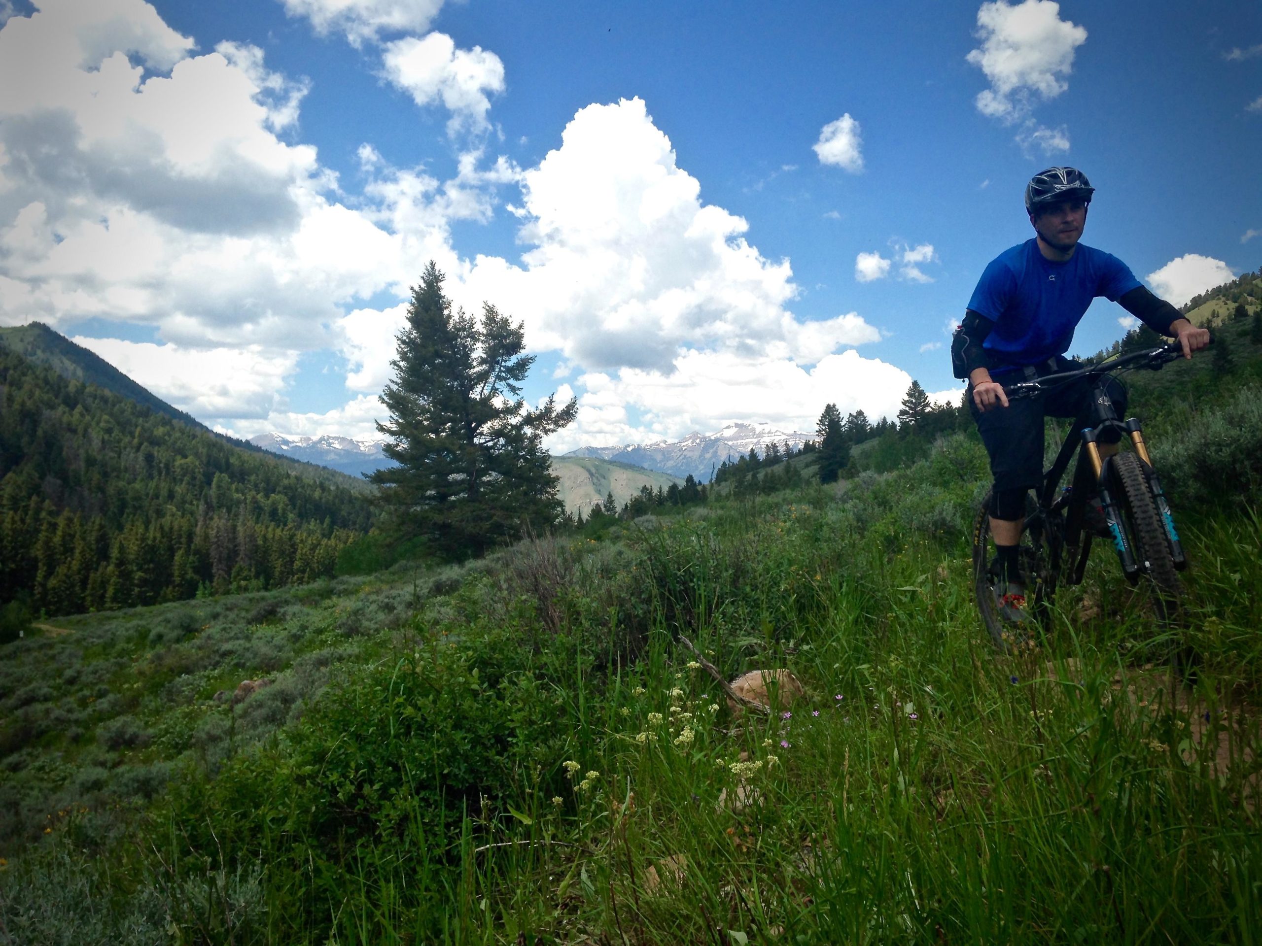 A mountain biker riding on a trail in a lush green landscape with mountains in the background, under a partly cloudy blue sky. The cyclist is wearing a blue shirt, protective gear, and a helmet. Wildflowers and grass line the trail, highlighting the vibrant natural surroundings. Cache Creek - Game Creek Loop mountain bike trail.
