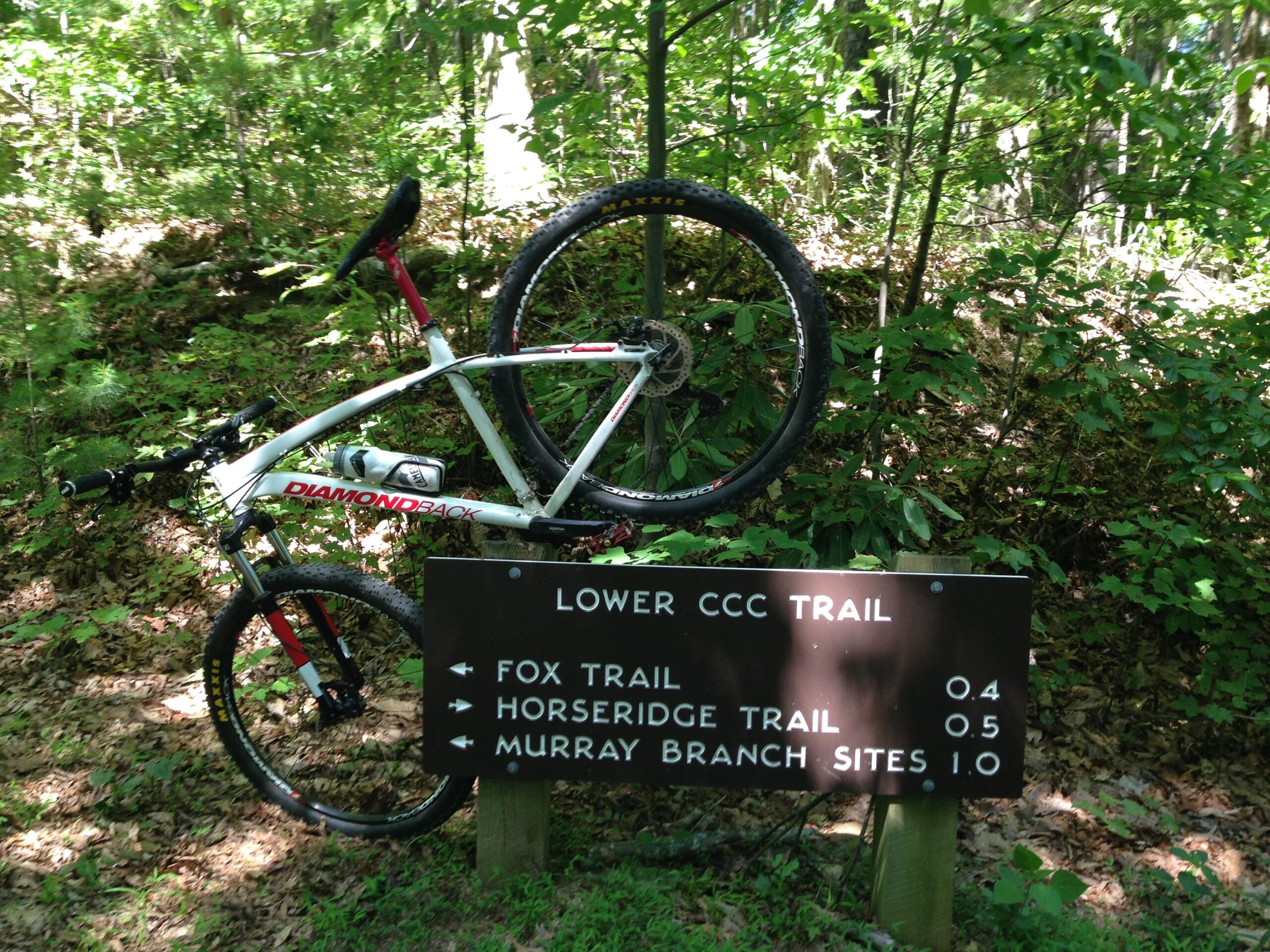 Diamondback Overdrive: A mountain bike leaning against a trail sign in a wooded area, indicating directions and distances to various trails, including Lower CCC Trail, Fox Trail, Horseridge Trail, and Murray Branch Sites. The scene is lush with greenery and dappled sunlight.