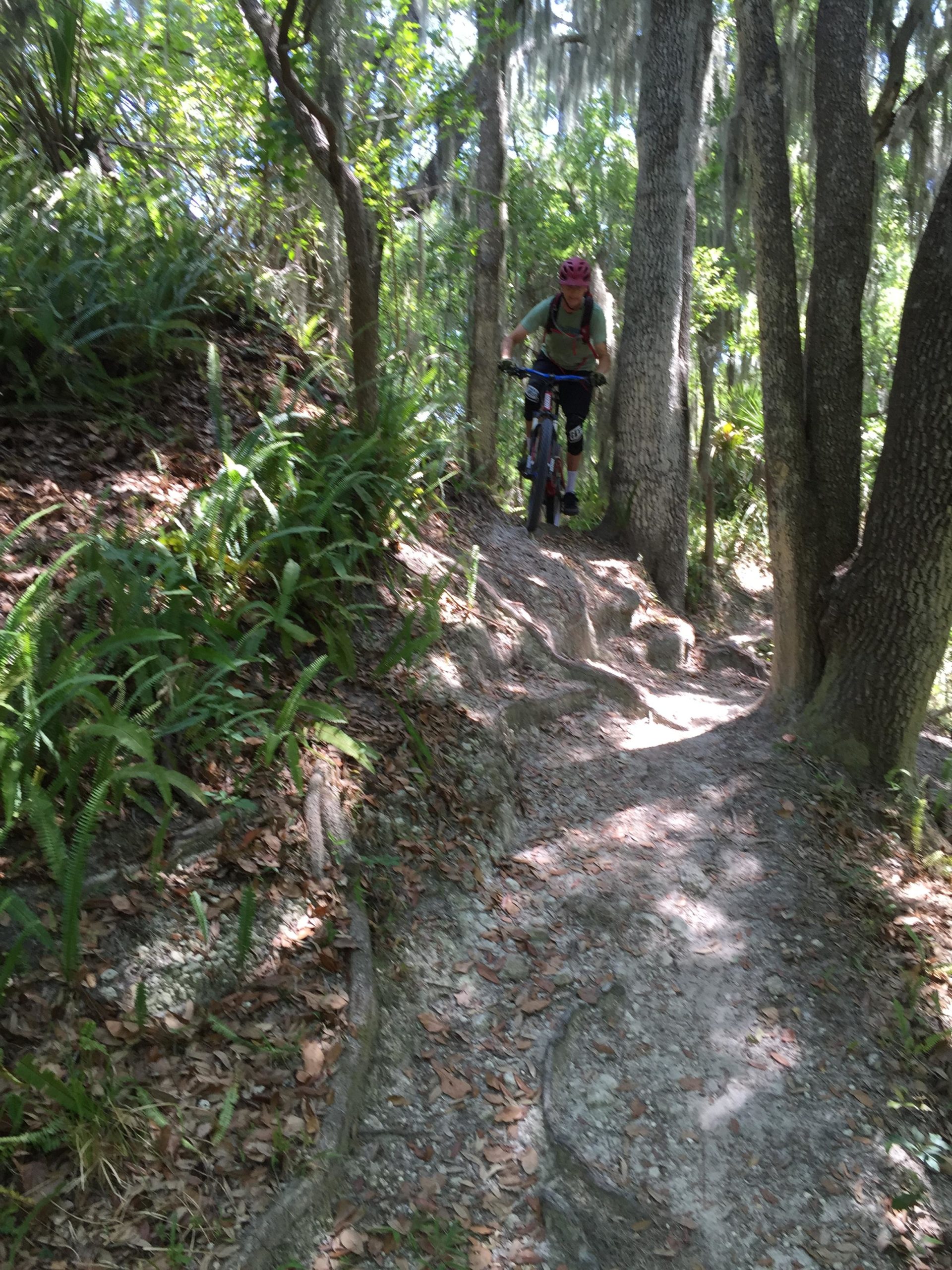 A person riding a mountain bike along a narrow, winding trail through a wooded area filled with trees and lush greenery. The path is lined with roots and fallen leaves, indicating a natural terrain suitable for outdoor biking adventures. Sunlight filters through the foliage, creating a dappled light effect on the ground. Loyce E. Harpe Park mountain bike trail.