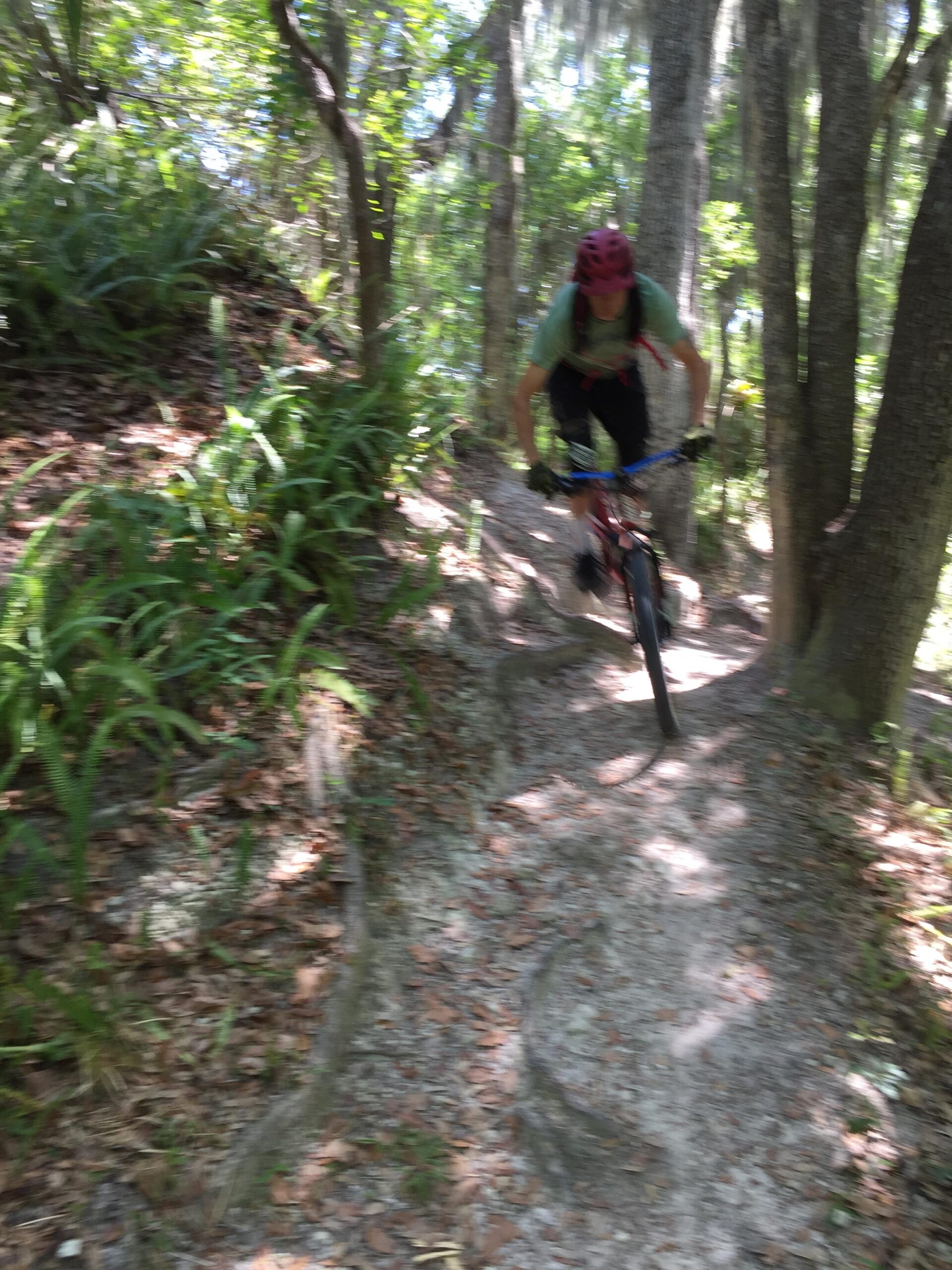 A mountain biker navigating a dirt trail surrounded by trees and greenery, with sunlight filtering through the leaves. The rider is in motion, leaning forward on the bike as they maneuver around the winding path, which is covered in fallen leaves and has a rugged surface. Loyce E. Harpe Park mountain bike trail.