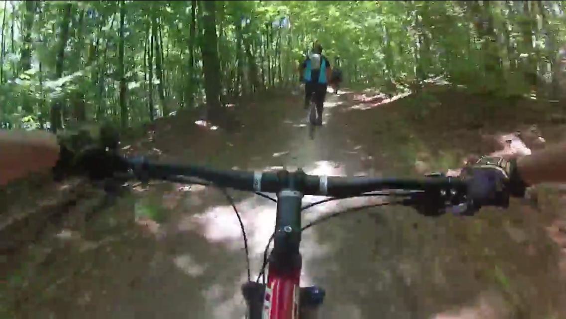 Alt text: "View from the handlebars of a mountain bike on a trail surrounded by lush green trees, with another cyclist visible in the background." Black Mountain mountain bike trail.