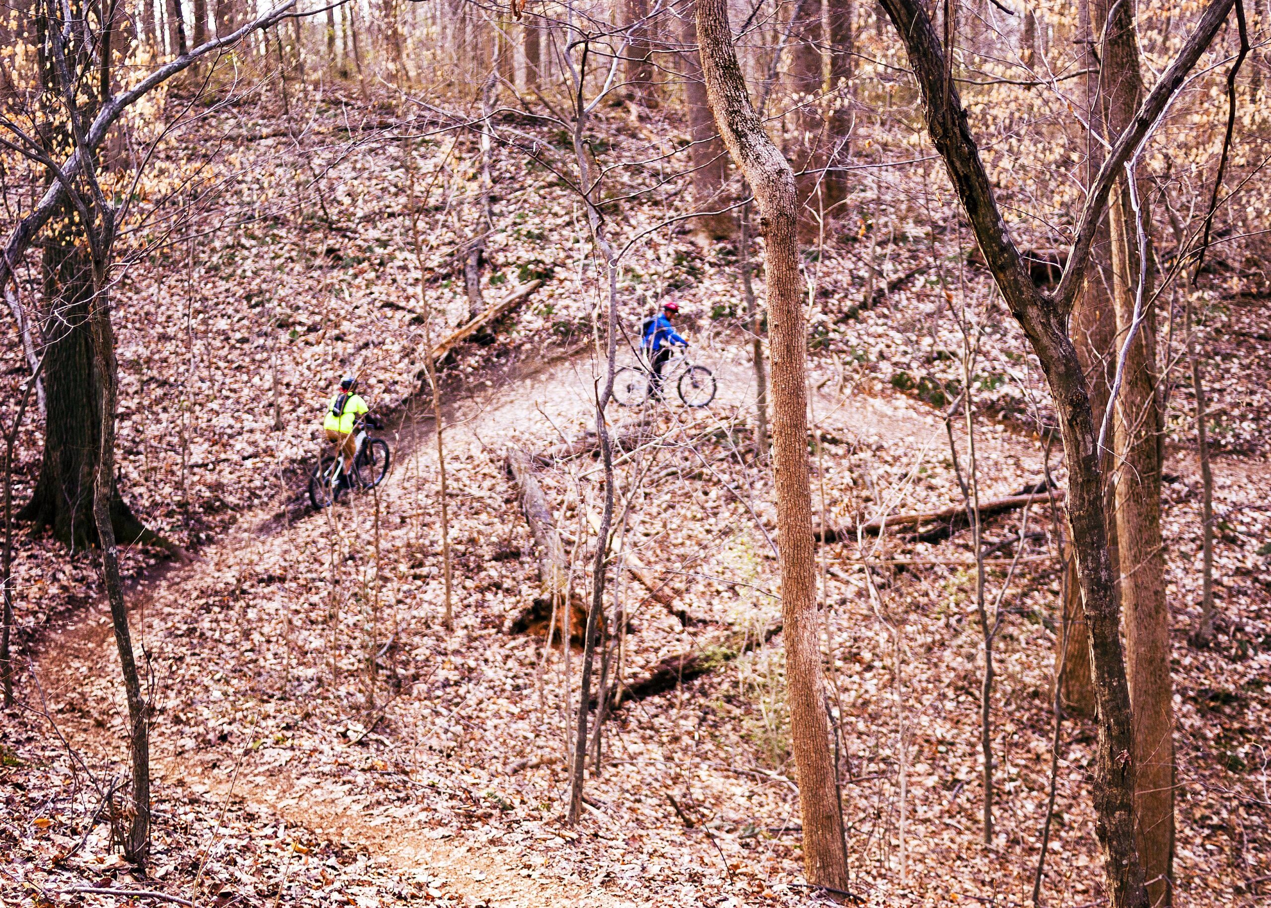 Two mountain bikers navigate a winding trail through a wooded area covered with fallen leaves. The scene features bare trees and a mix of earth tones typical of late autumn. Hobby Park mountain bike trail.