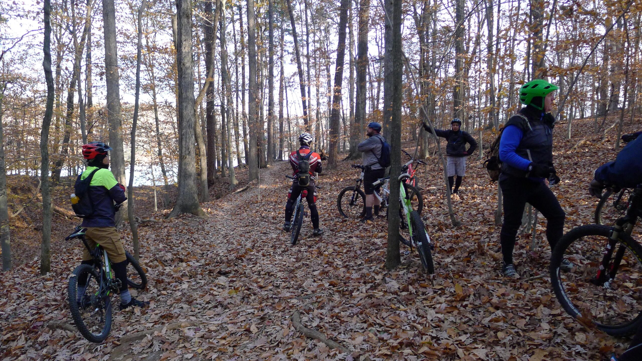 A group of six mountain bikers are gathered on a leaf-covered trail in a wooded area during autumn. They are wearing various biking gear, including helmets and padded clothing. Some bikes are parked nearby as they discuss their route amidst tall trees with colorful fall foliage in the background. Wild Turkey mountain bike trail.
