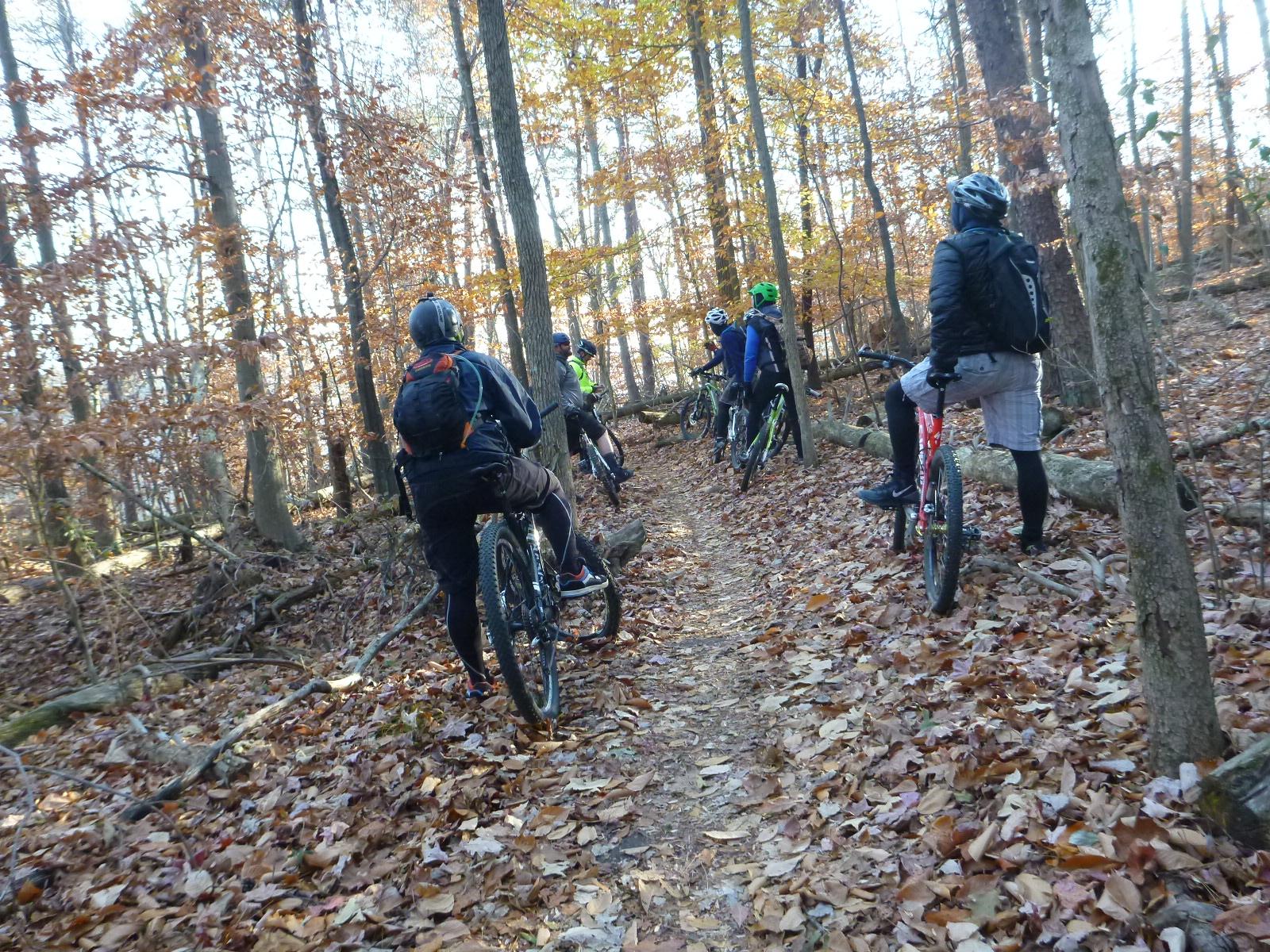 A group of six mountain bikers pause on a narrow trail in a forest during autumn. The ground is covered with fallen leaves, and trees with orange and brown foliage surround them. Some cyclists are dressed in shorts and jackets, with helmets on, while their bikes are parked nearby. The scene captures a moment of camaraderie in nature. Wild Turkey mountain bike trail.