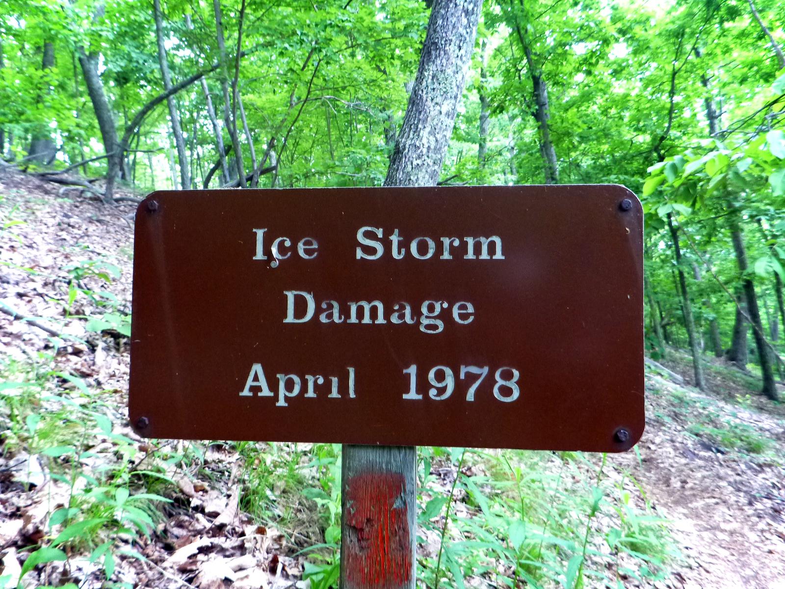 Brown sign in a wooded area reading "Ice Storm Damage, April 1978." The sign is affixed to a wooden post and surrounded by green foliage and forest ground cover. Douthat State Park mountain bike trail.