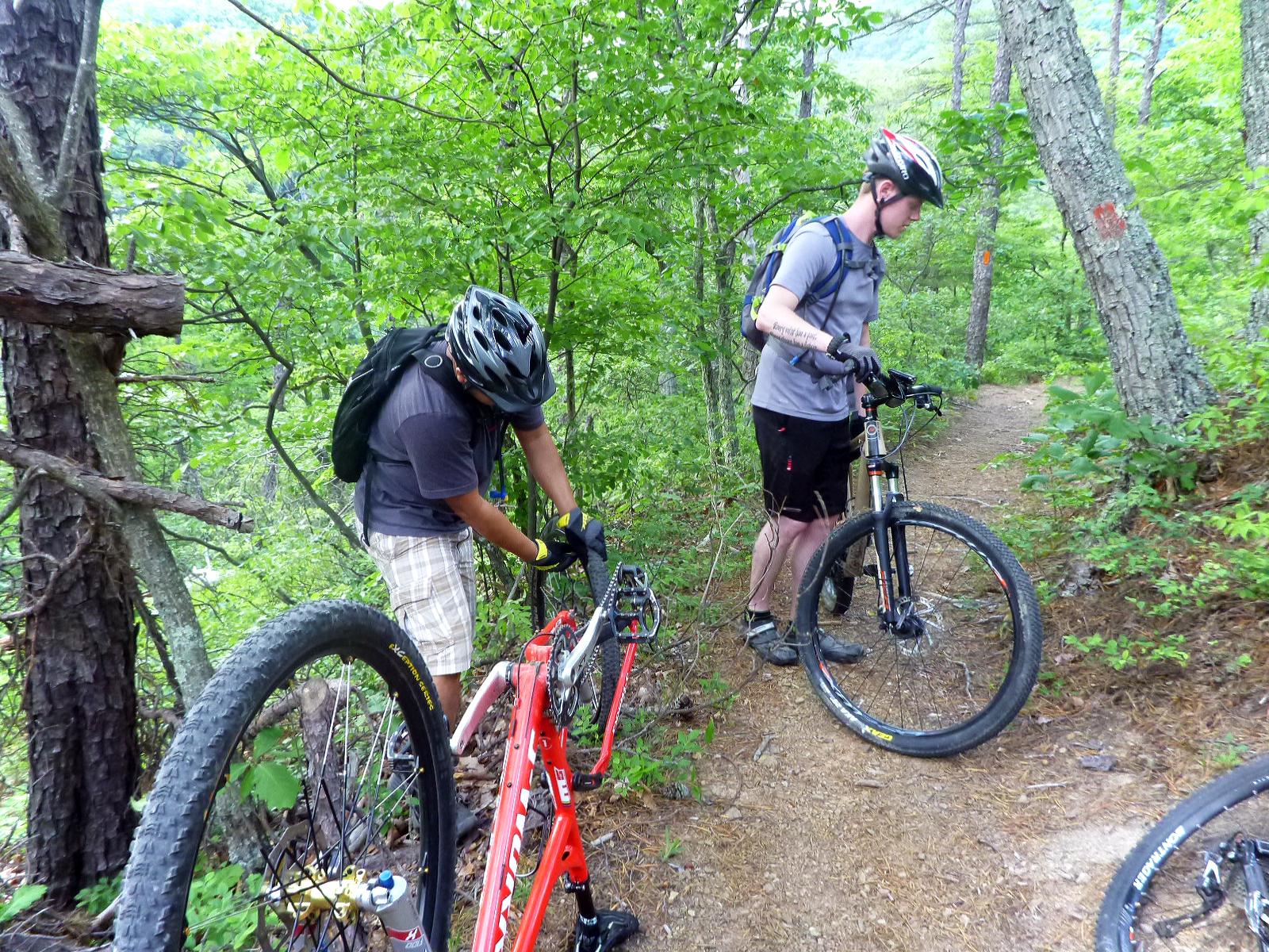 Two mountain bikers are on a wooded trail, stopping to inspect their bikes. One rider, wearing a black helmet and a dark shirt, is positioned next to a red mountain bike, adjusting something on the tire. The second rider, dressed in a grey shirt and black shorts, is observing his bike. The surroundings are lush green with trees and a narrow dirt path. Douthat State Park mountain bike trail.