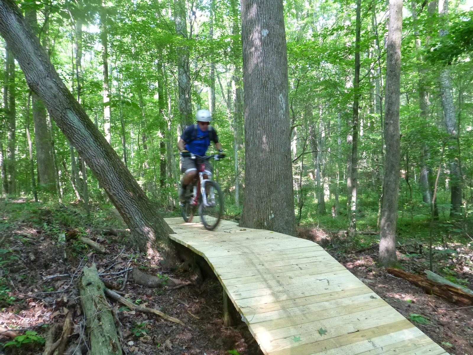 A mountain biker riding on a wooden trail surrounded by lush green trees in a forested area. The biker is wearing a helmet and blue shirt, navigating the path with focused determination. Kernersville MTB park mountain bike trail.
