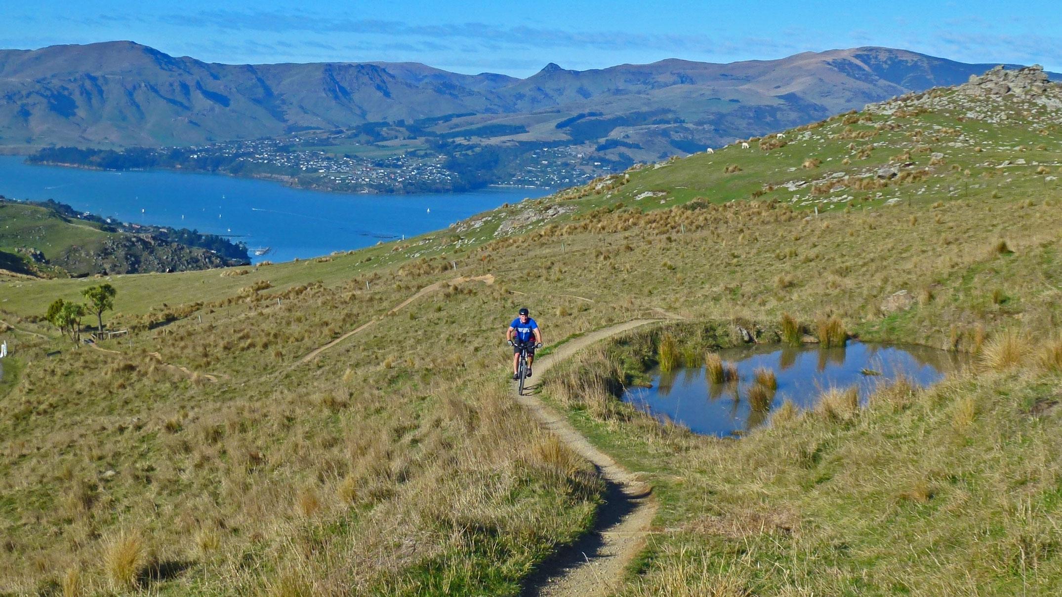 A mountain biker rides along a winding dirt path on a grassy hillside, with a scenic view of a lake and distant mountains in the background. A small pond is visible beside the trail, surrounded by patches of grass. The sky is clear and blue, creating a bright, sunny atmosphere. Port Hills Tracks mountain bike trail.