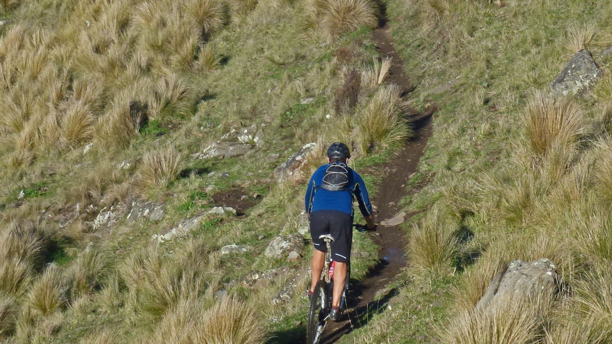 A person riding a mountain bike along a narrow dirt trail surrounded by tall grass and scattered rocks in a natural landscape. Port Hills Tracks mountain bike trail.