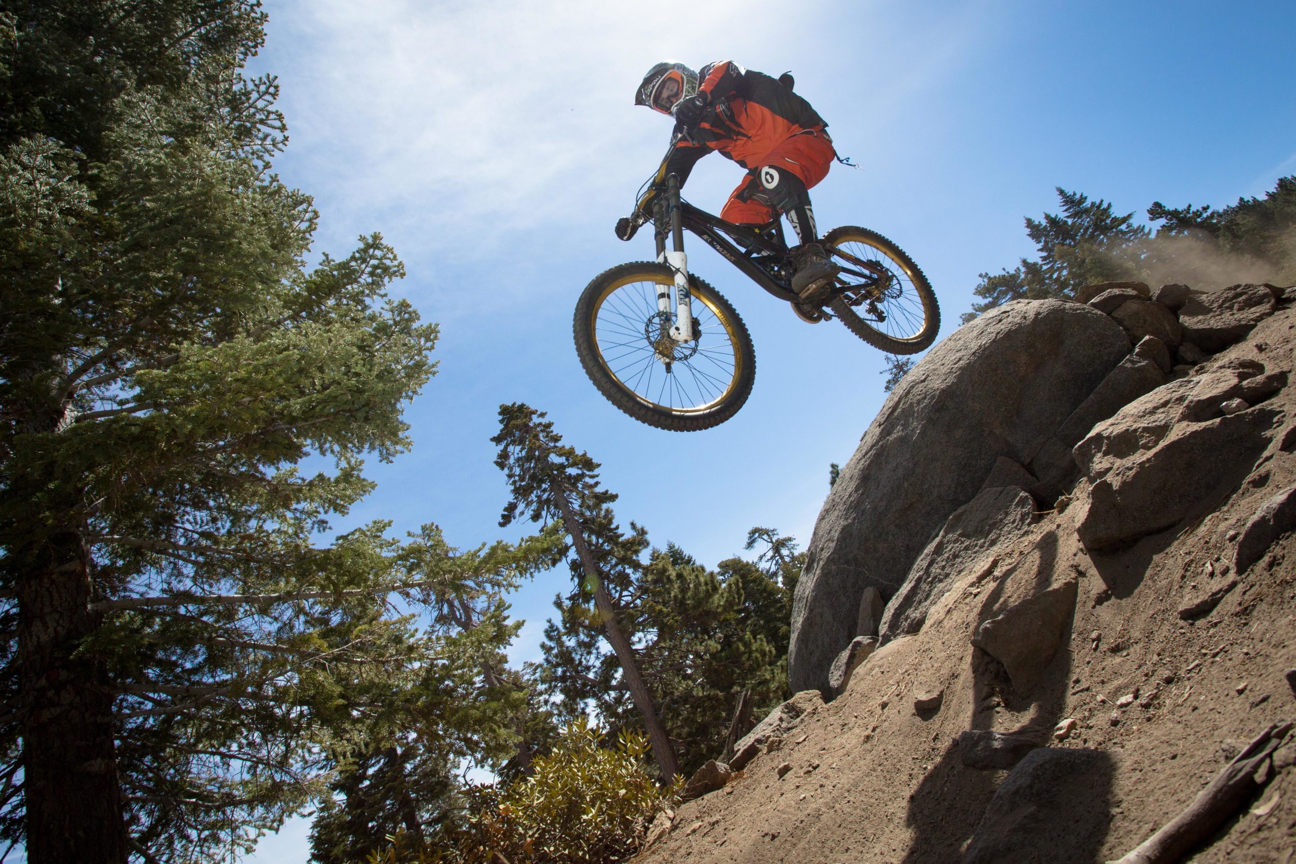 A mountain biker in an orange outfit performs a jump off a large rock, surrounded by tall trees under a blue sky. Dust is being kicked up from the ground as the bike's front wheel is elevated above the rock. Big Bear Mountain Resort mountain bike trail.