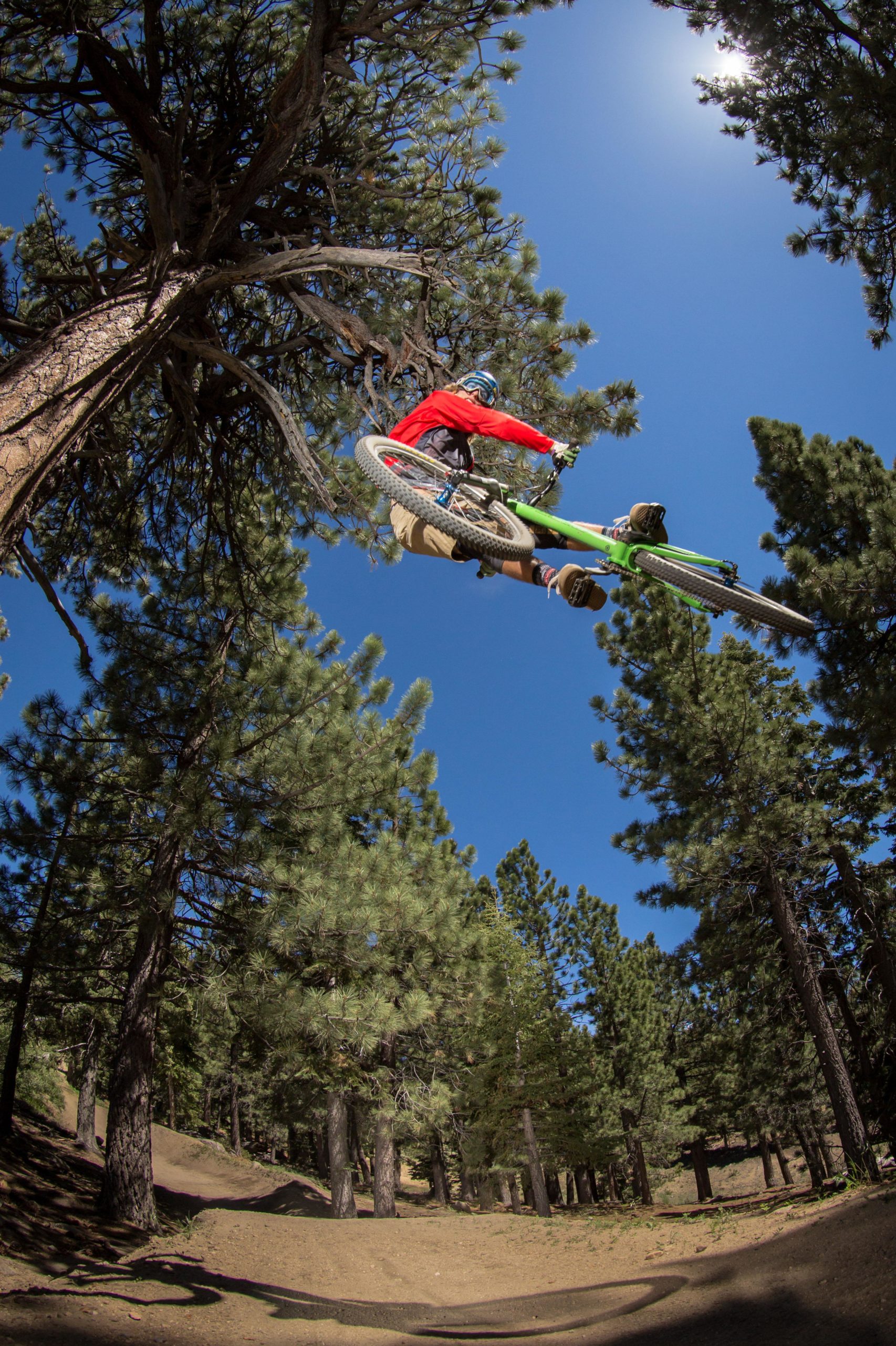 A mountain biker performs a jump through a forested trail, with tall pine trees surrounding the scene under a clear blue sky. The rider is wearing a red jacket and a helmet, showcasing a dynamic action shot as they soar above the ground. Big Bear Mountain Resort mountain bike trail.