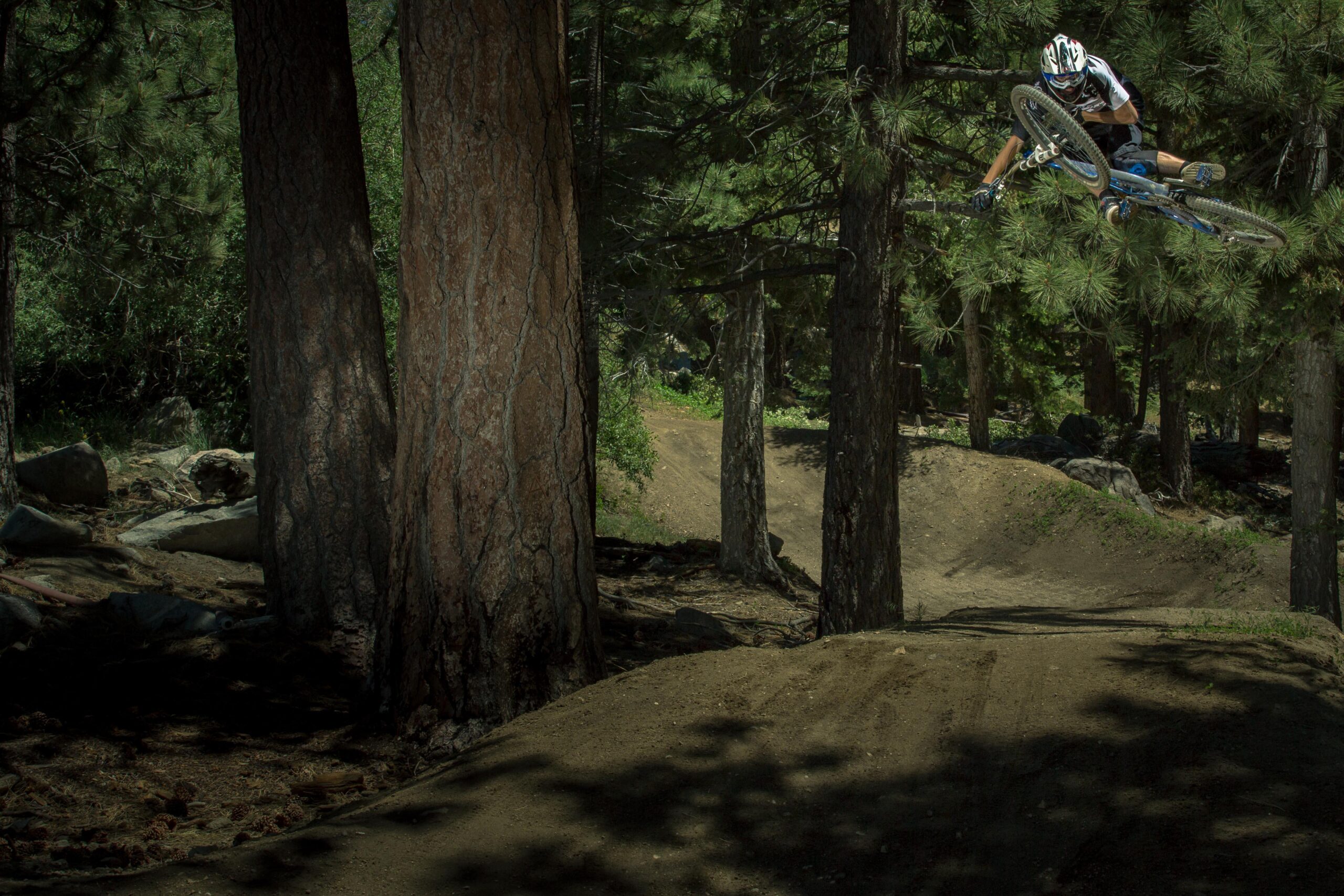 A mountain biker performing an aerial jump over a dirt trail in a forested area, surrounded by tall pine trees and rocky terrain. Sunlight filters through the foliage, illuminating the scene. Big Bear Mountain Resort mountain bike trail.