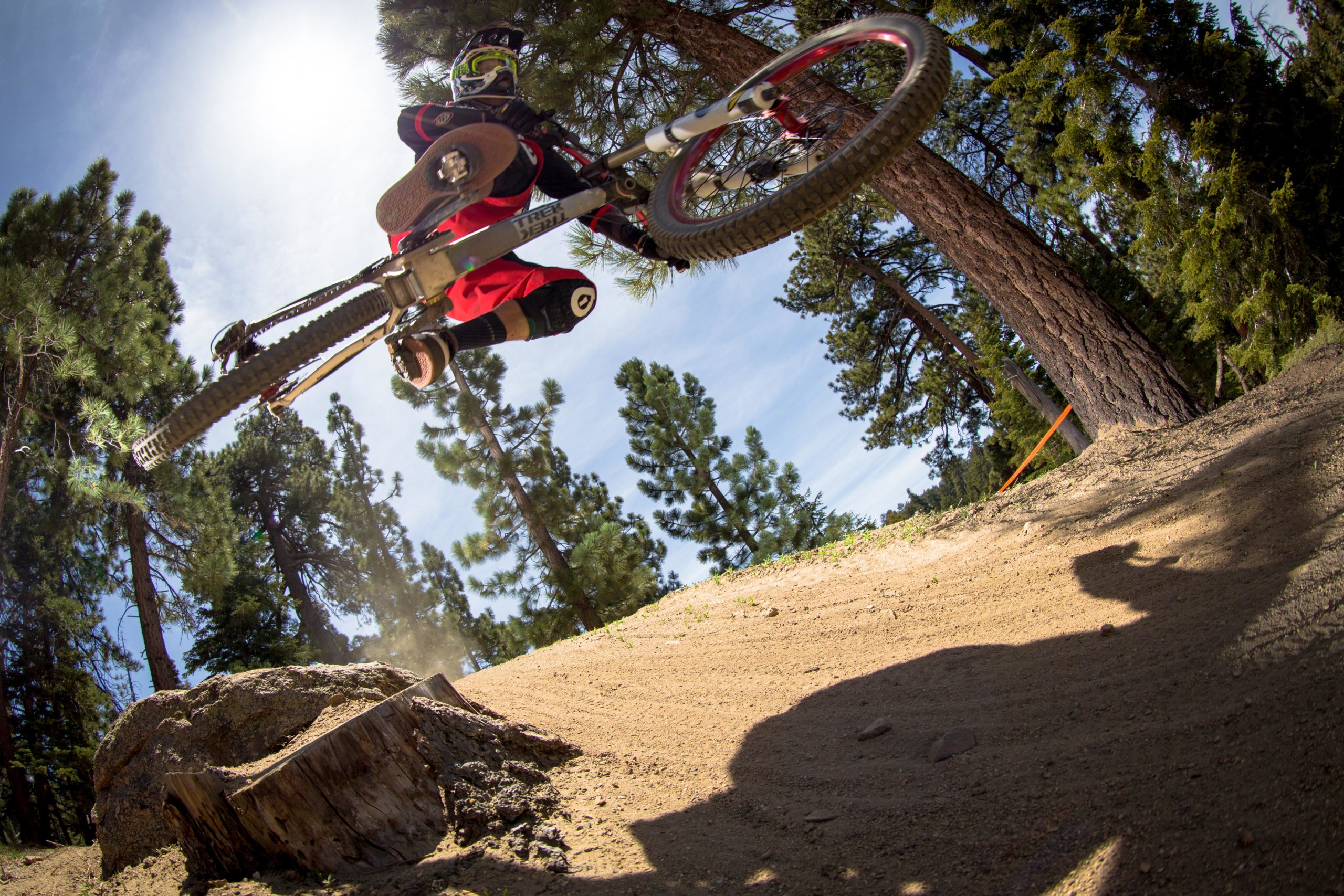 A mountain biker performs an aerial jump over a dirt ramp, surrounded by tall pine trees. The sun shines brightly in the sky, illuminating the scene as dust kicks up from the landing area. The biker wears protective gear and a helmet, showcasing a dynamic action pose while navigating the trail. Big Bear Mountain Resort mountain bike trail.