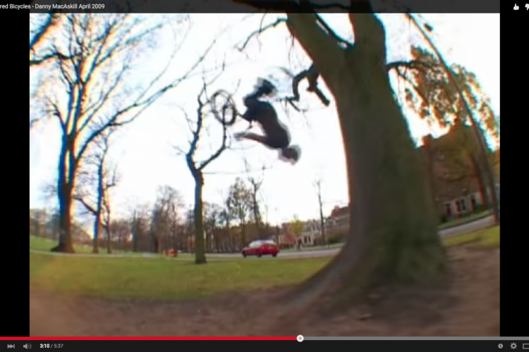 A cyclist performing an acrobatic trick while jumping off a tree in a park, with trees and a road visible in the background. The scene captures a dynamic moment, showcasing the cyclist mid-air against a backdrop of bare trees and distant buildings.