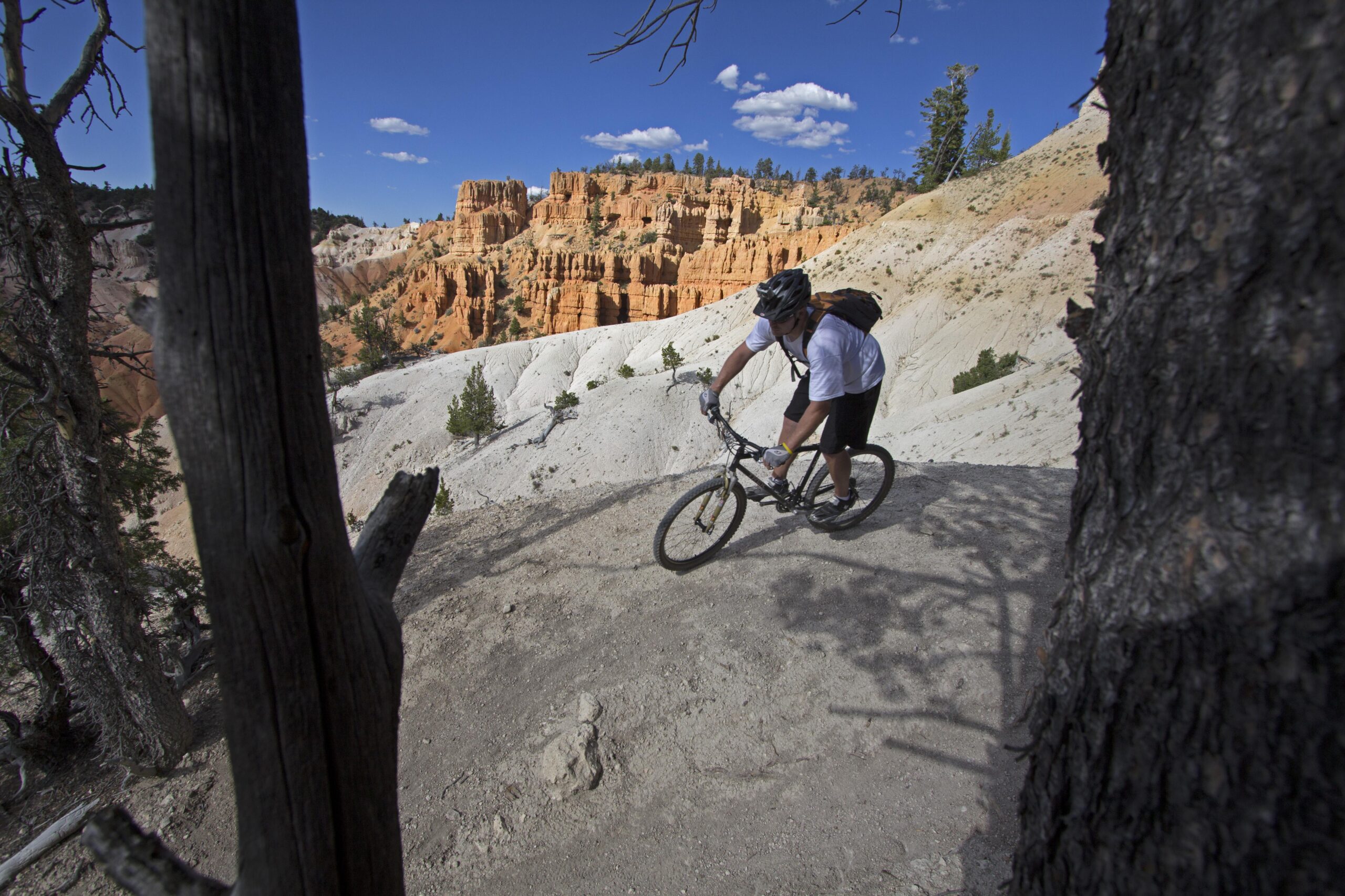 A mountain biker riding along a narrow trail in a canyon, surrounded by striking orange and white rock formations under a blue sky with scattered clouds. Trees frame the scene, adding depth to the landscape. Thunder Mountain mountain bike trail.
