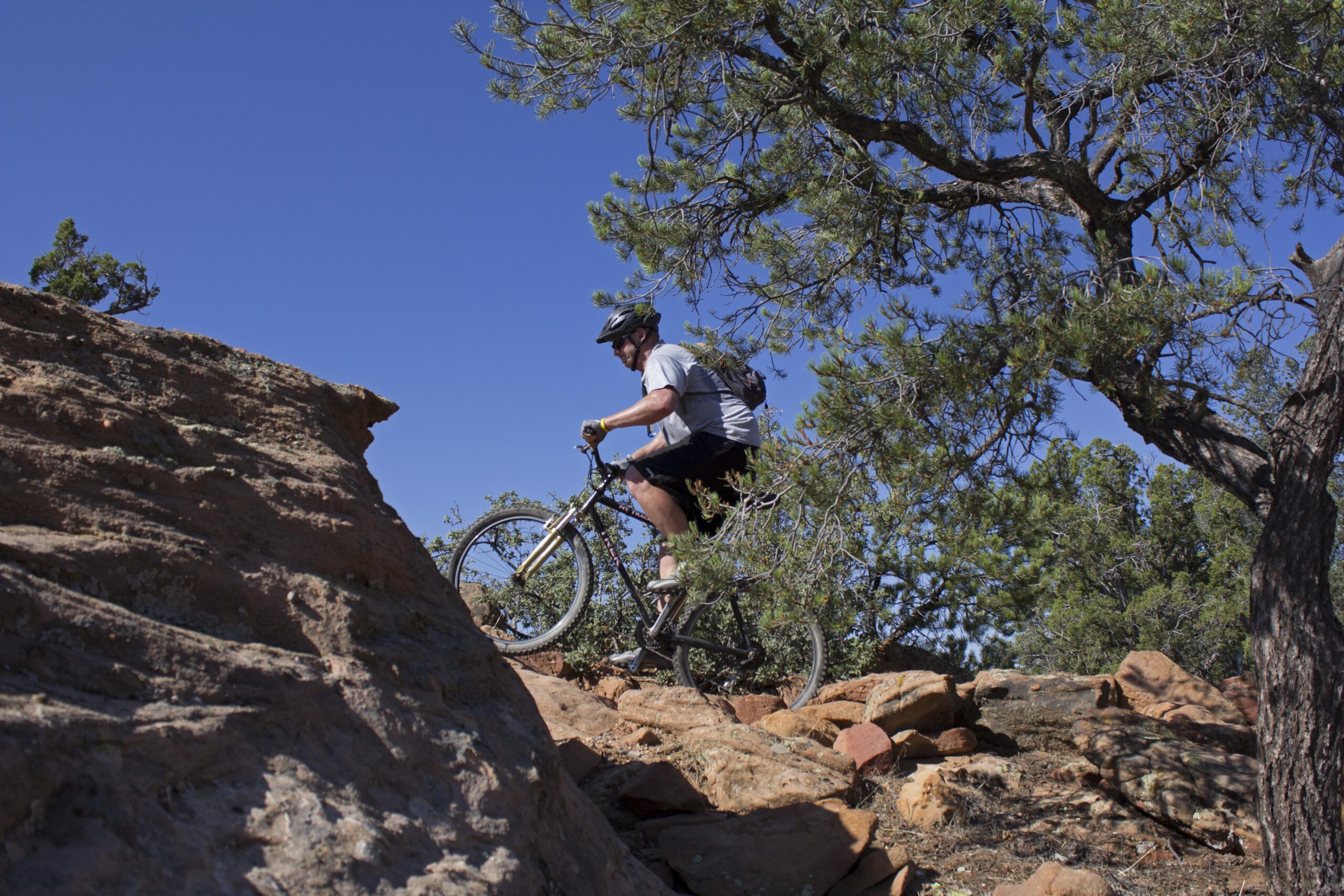 A mountain biker navigating rocky terrain under a clear blue sky, surrounded by trees. The cyclist is wearing a helmet and is in motion, climbing over a boulder. Gooseberry Mesa mountain bike trail.